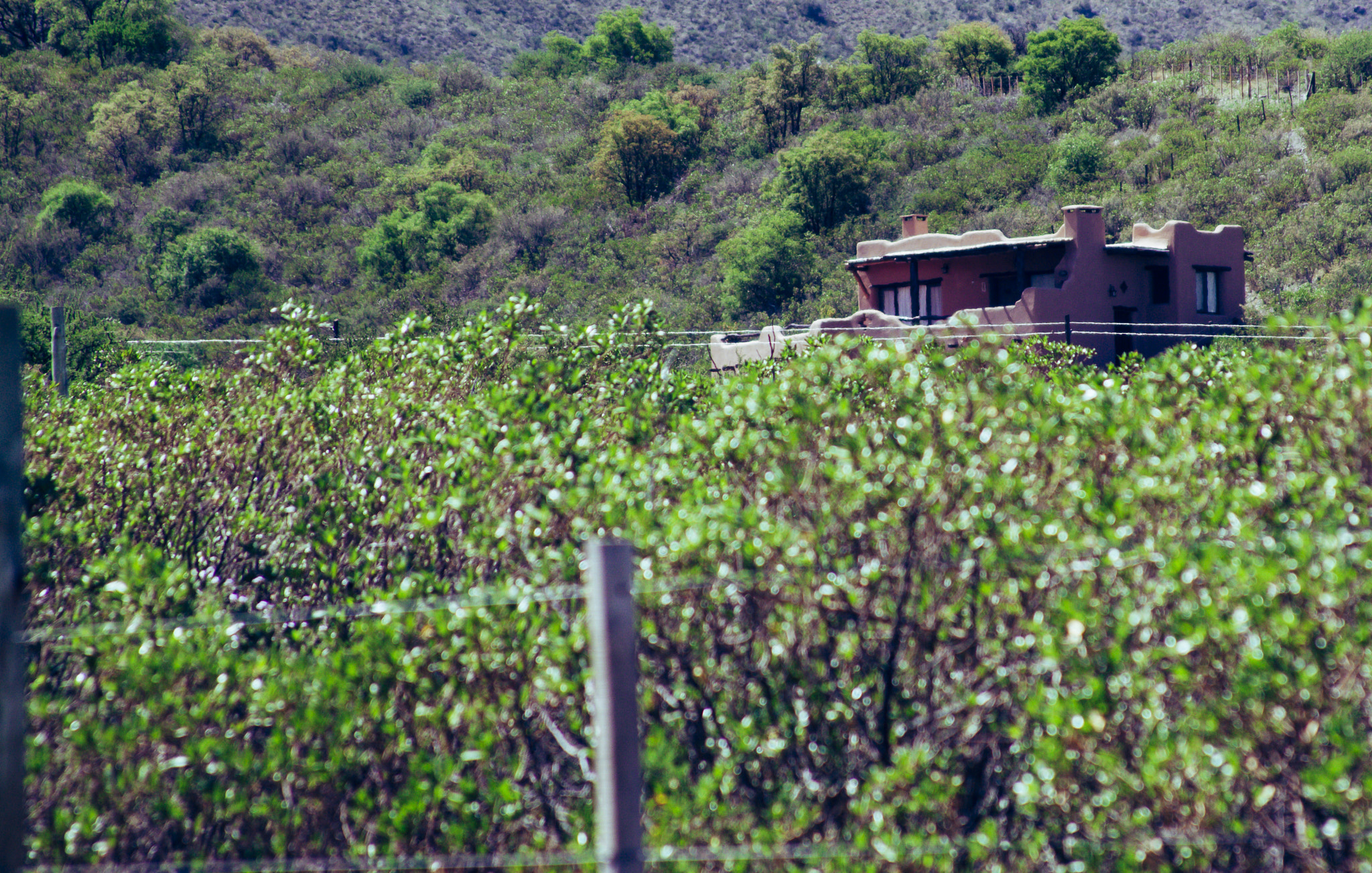 Canon EF 28-135mm F3.5-5.6 IS USM sample photo. Capilla del monte lx photography