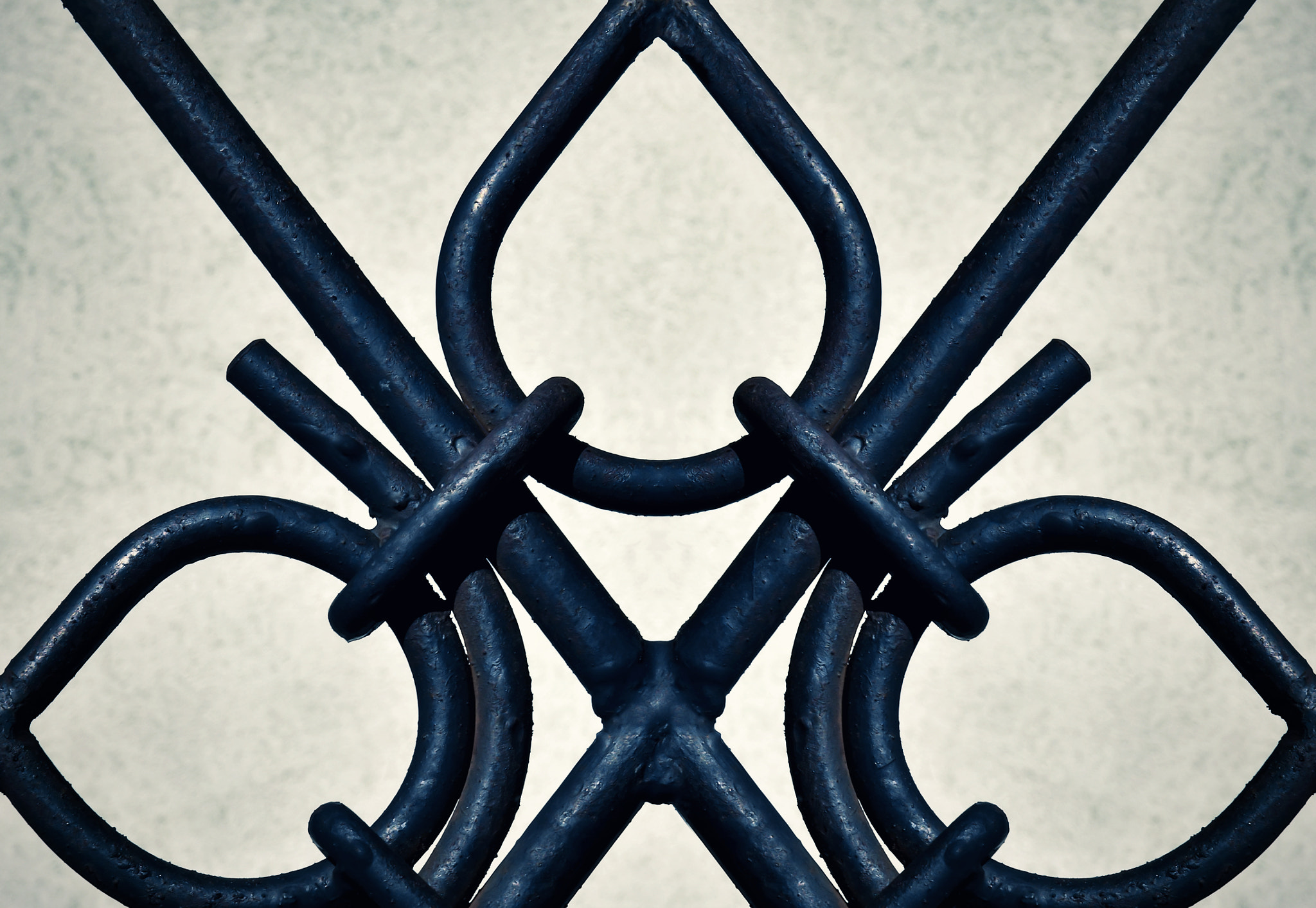 Nikon D5500 sample photo. Detail ornamental iron gates photography