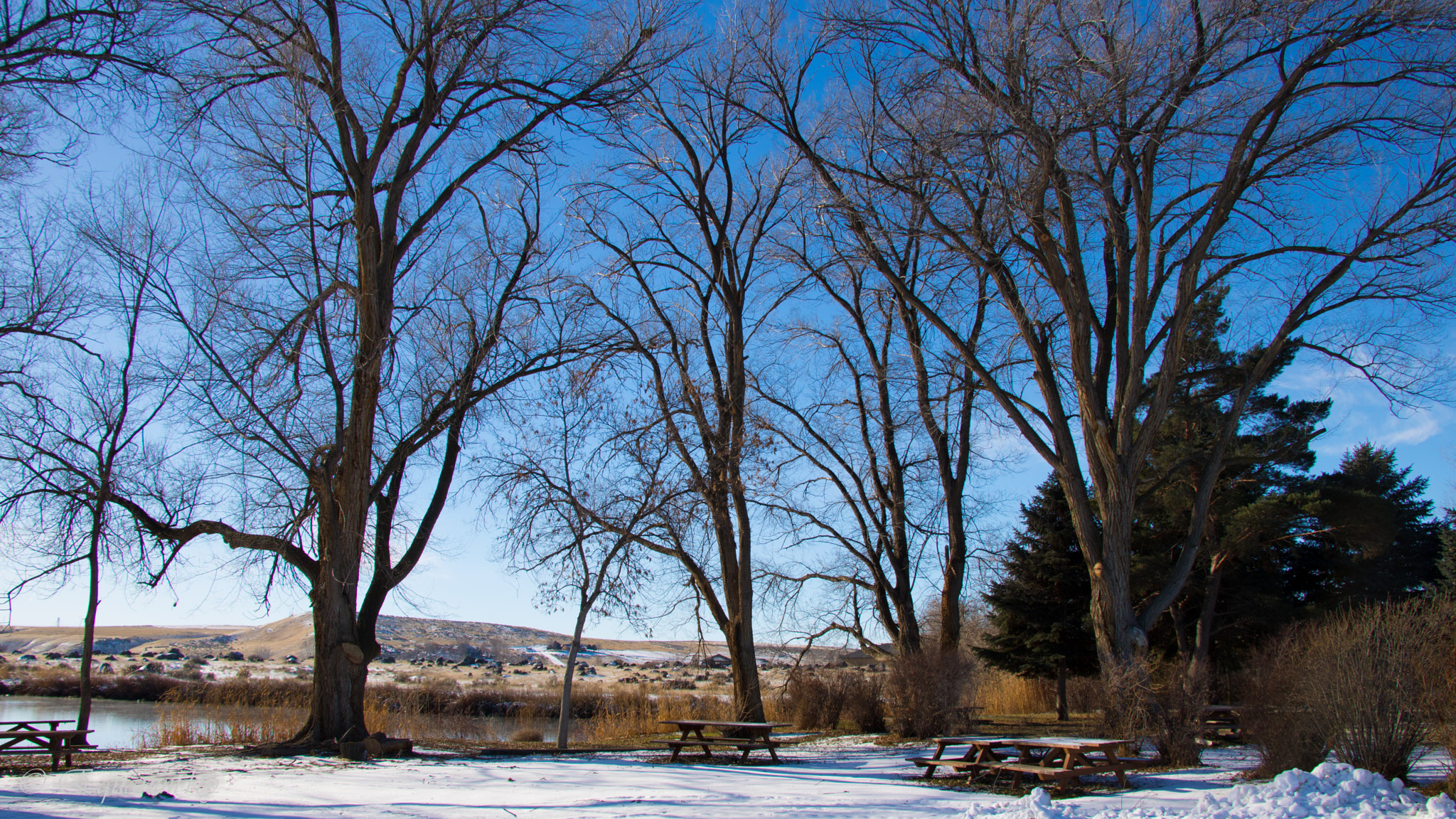 Canon EOS 750D (EOS Rebel T6i / EOS Kiss X8i) sample photo. Serene snowday photography