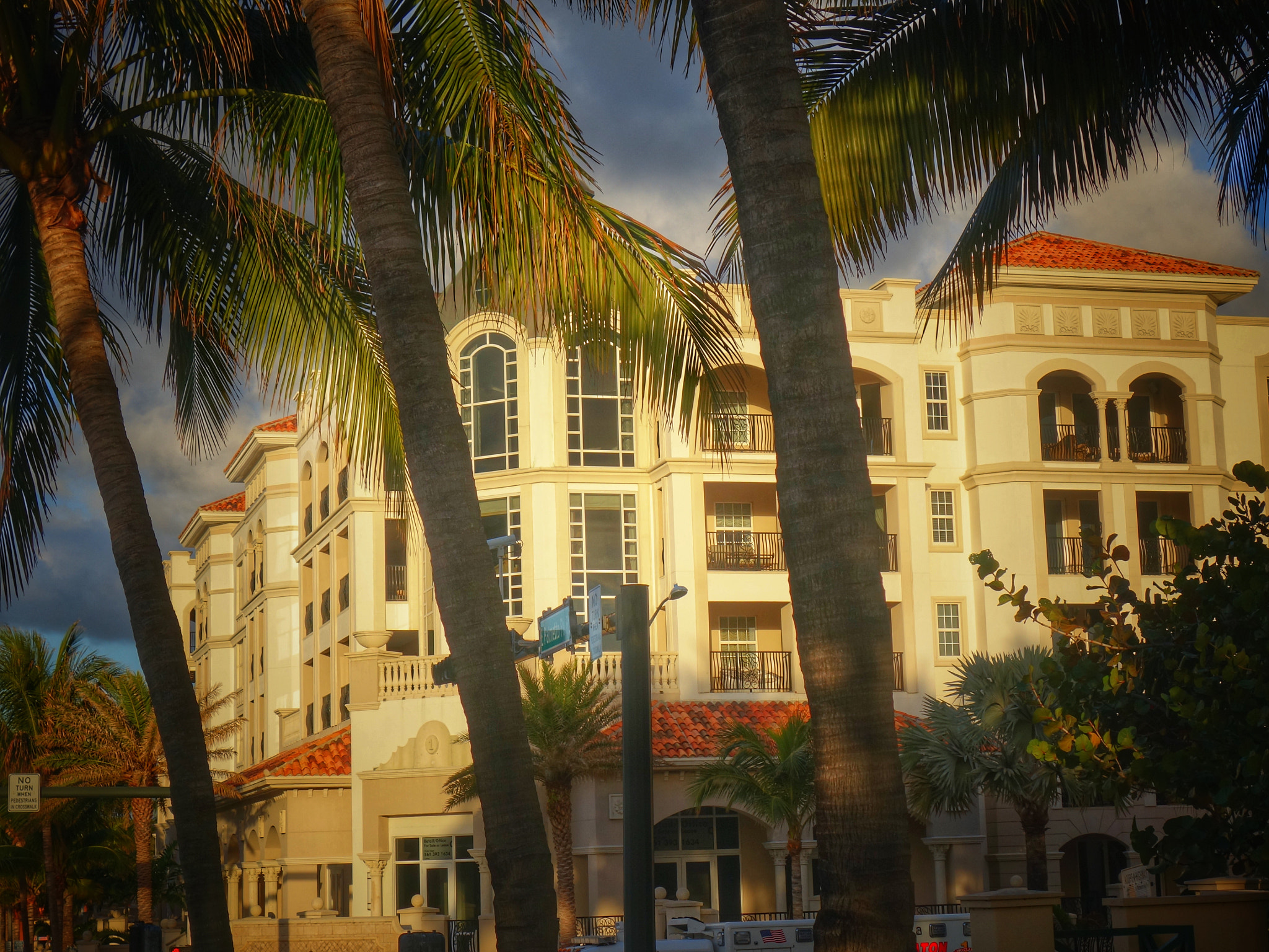 Sony 28-100mm F1.8-4.9 sample photo. Palmetto & a1a photography
