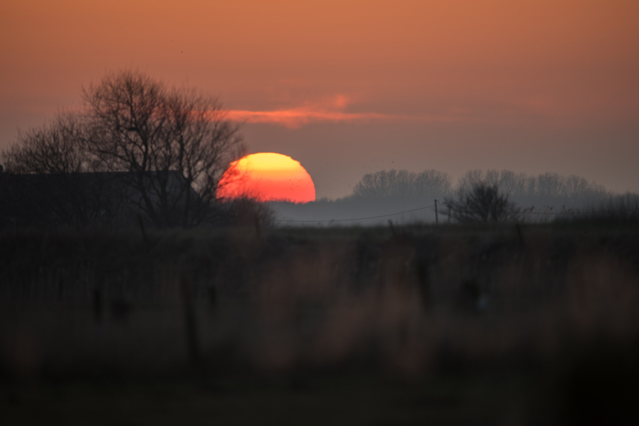 Nikon D810 + Nikon AF-S Nikkor 600mm F4G ED VR sample photo. Sunset photography