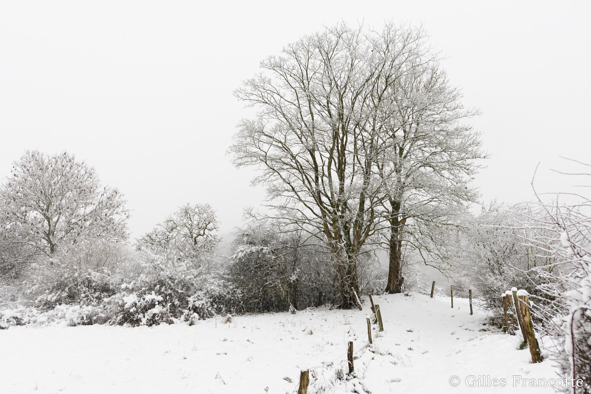 Nikon D800 + Nikon AF-S Nikkor 20mm F1.8G ED sample photo. Winter landscape. photography