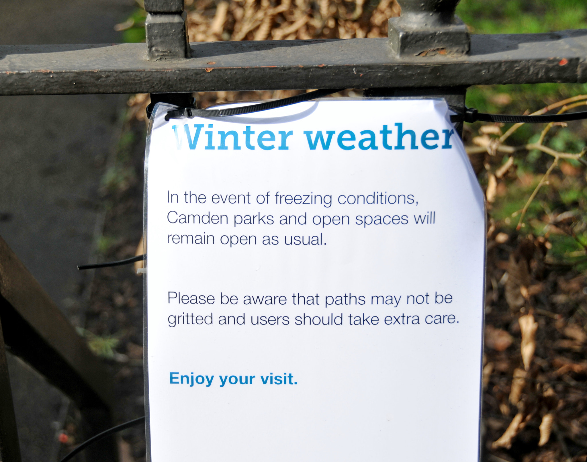Nikon D300S sample photo. "let us love february", london photography