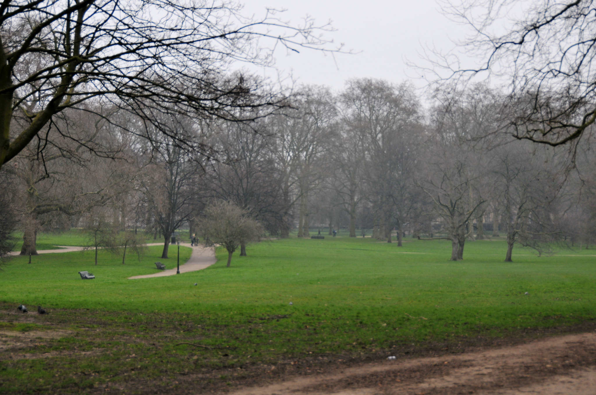 Nikon D300S sample photo. "let us love february", london photography