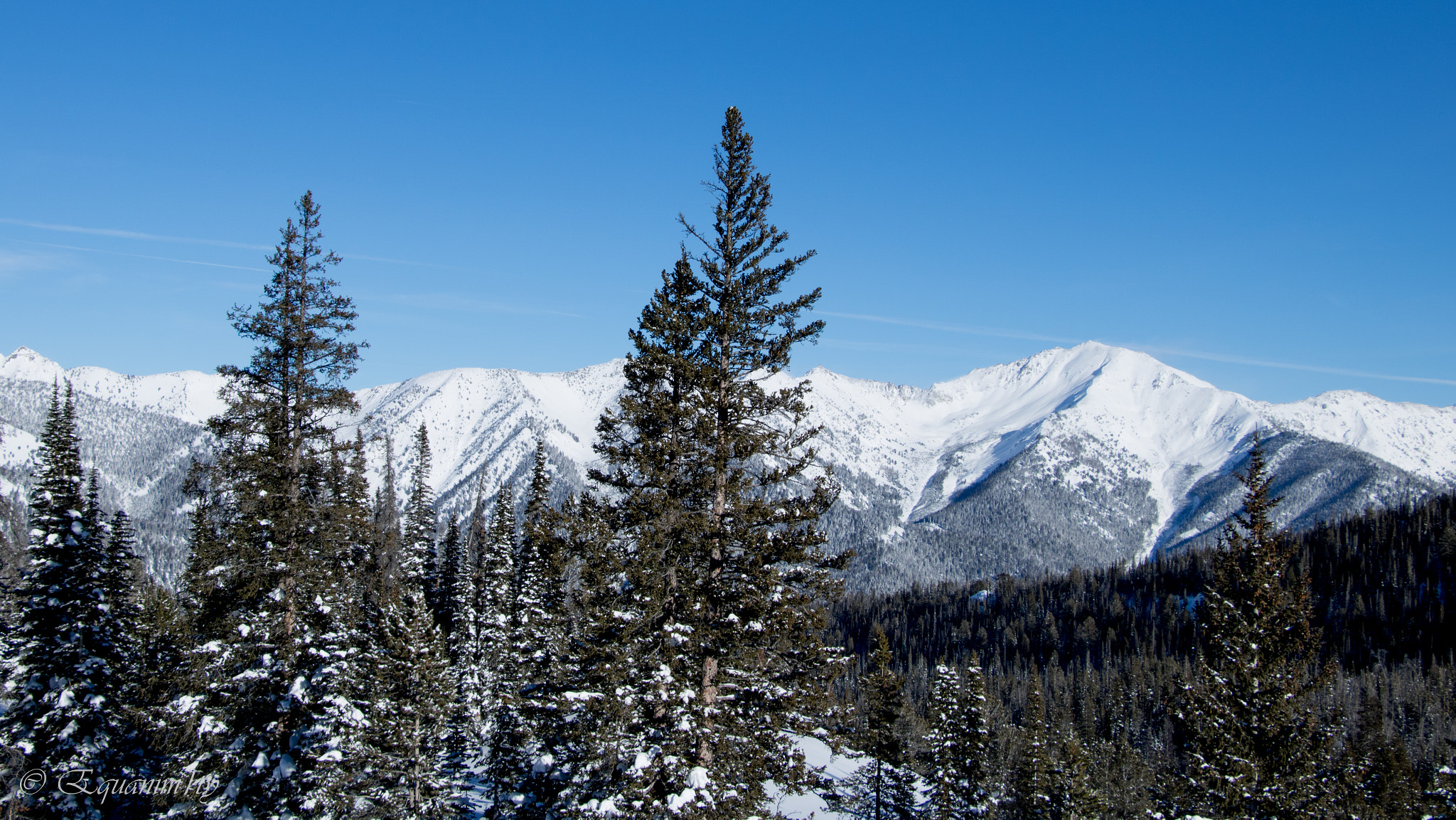 Canon EOS 750D (EOS Rebel T6i / EOS Kiss X8i) sample photo. Mountains and pines photography