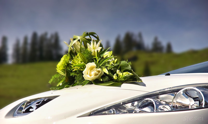 Sony DT 16-105mm F3.5-5.6 sample photo. Flowers on the hood photography