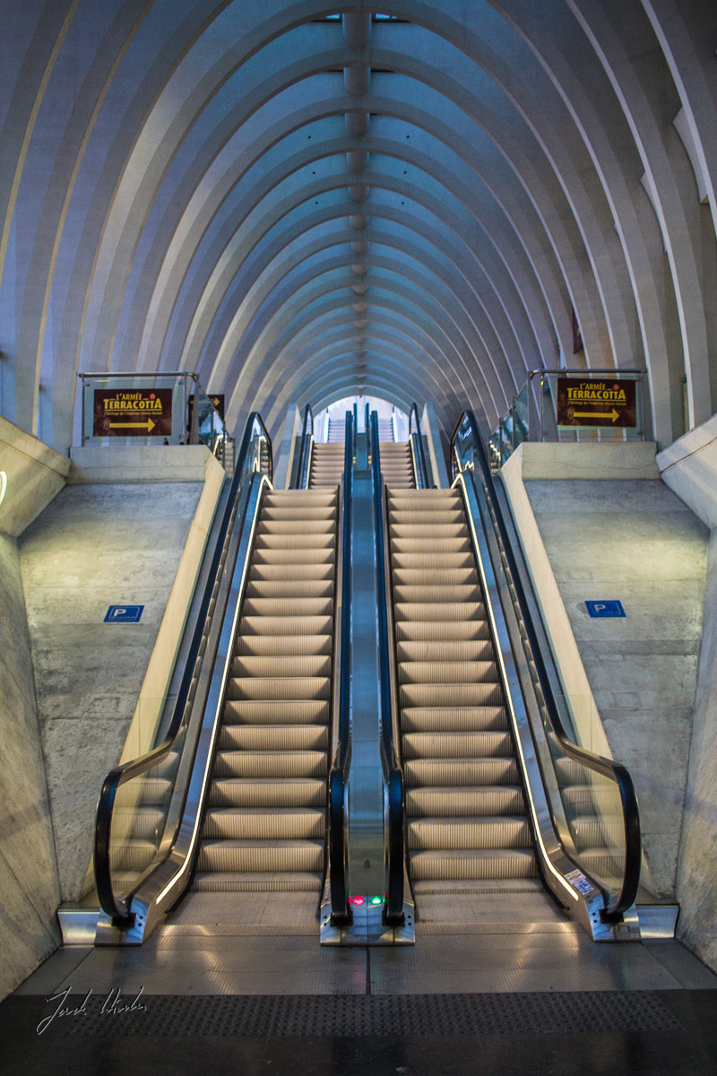 Canon EF-S 24mm F2.8 STM sample photo. Escalator photography