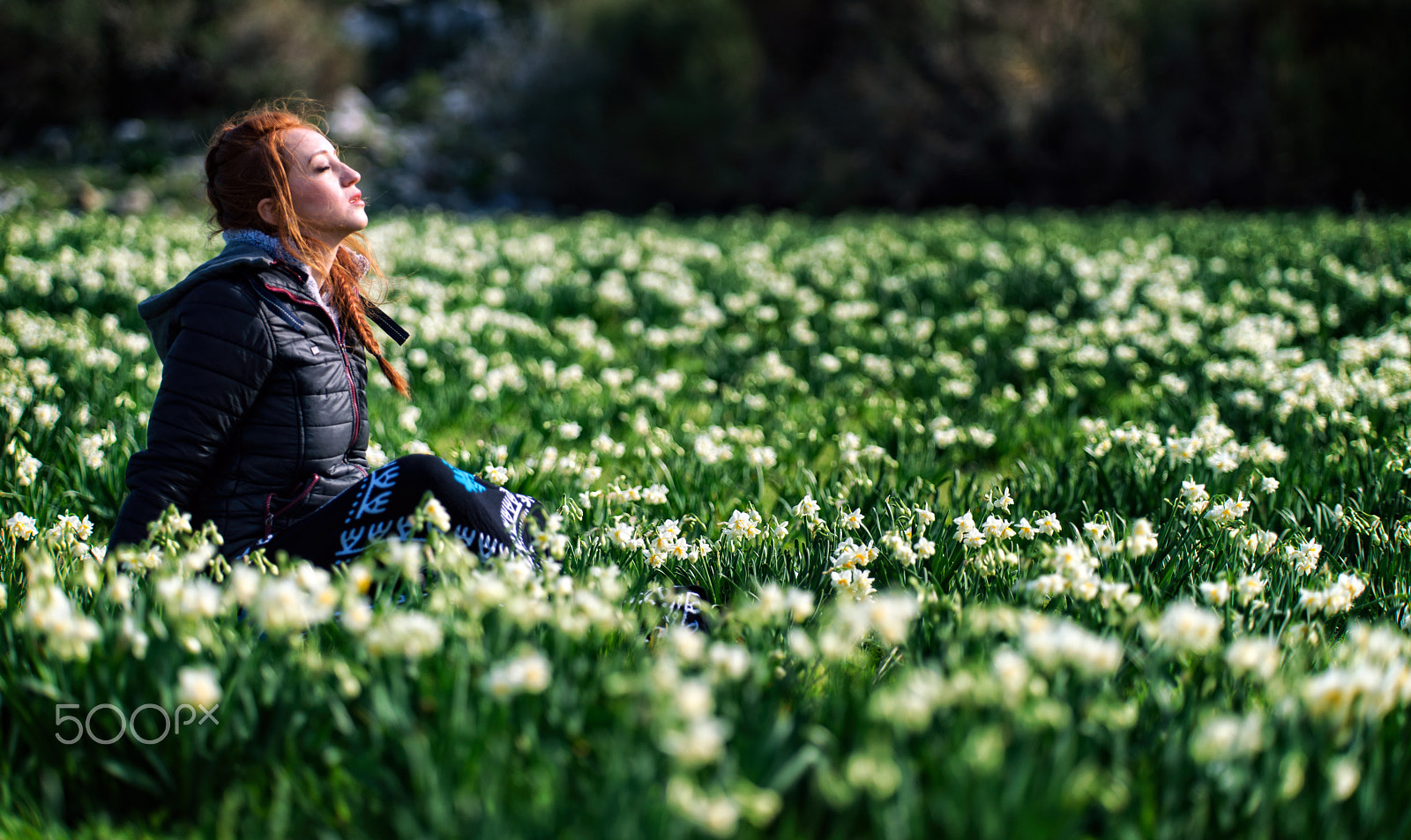 Sony a99 II + Minolta/Sony AF 70-200mm F2.8 G sample photo. Waiting for the sun... photography