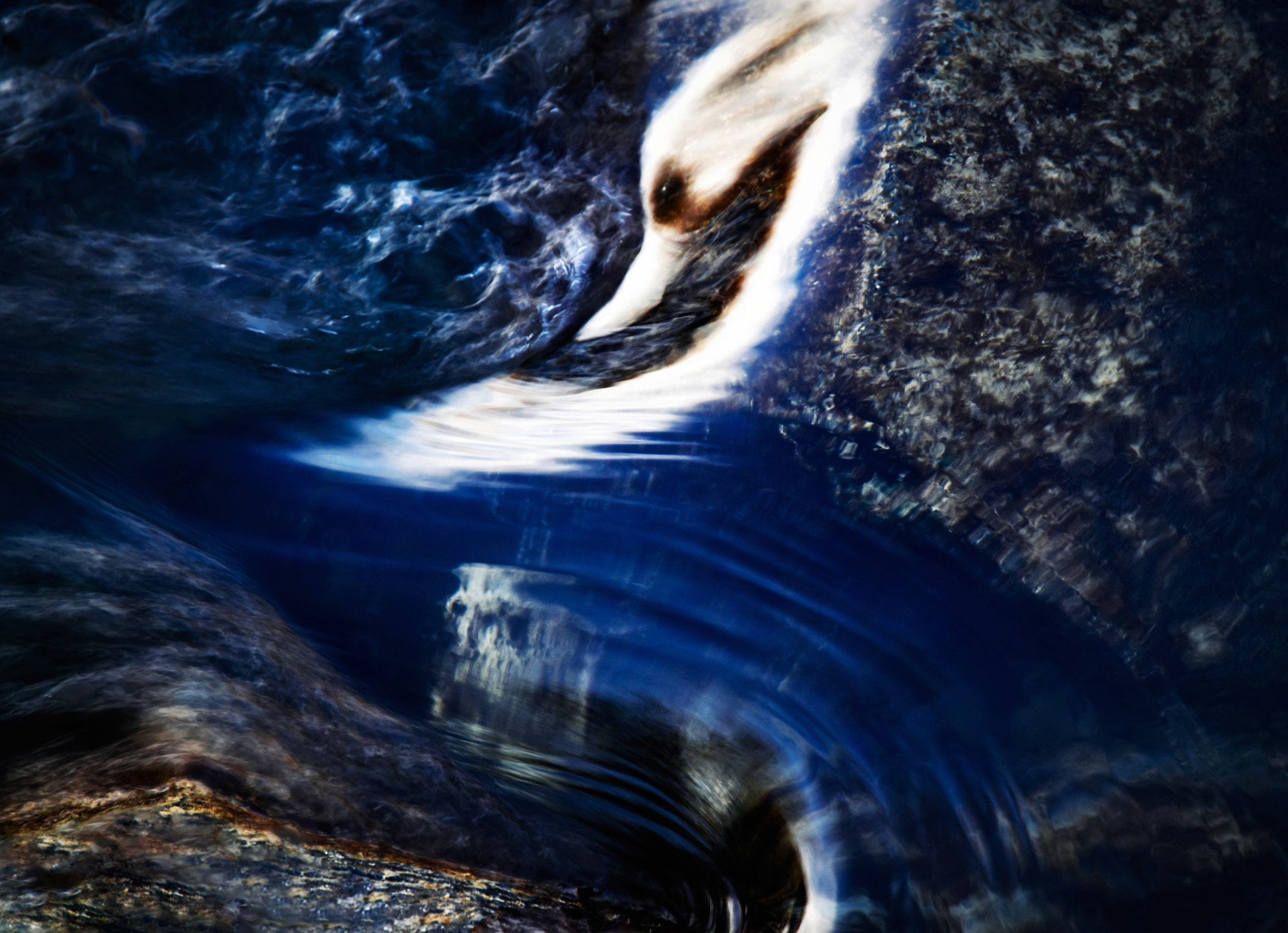 Nikon D5500 sample photo. Abstract shape of a wave of water photography