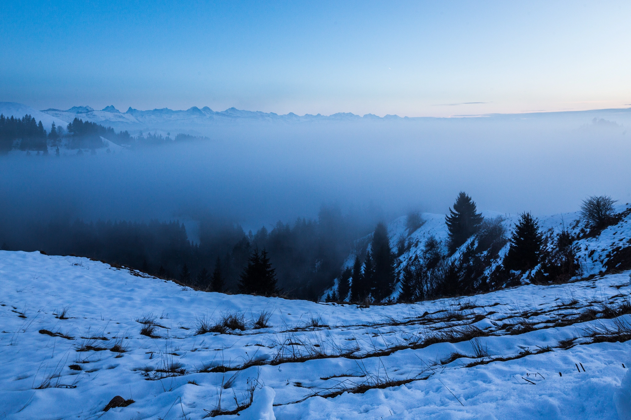 Canon EOS 6D + Canon TS-E 24.0mm f/3.5 L II sample photo. Lüderenalp fog photography