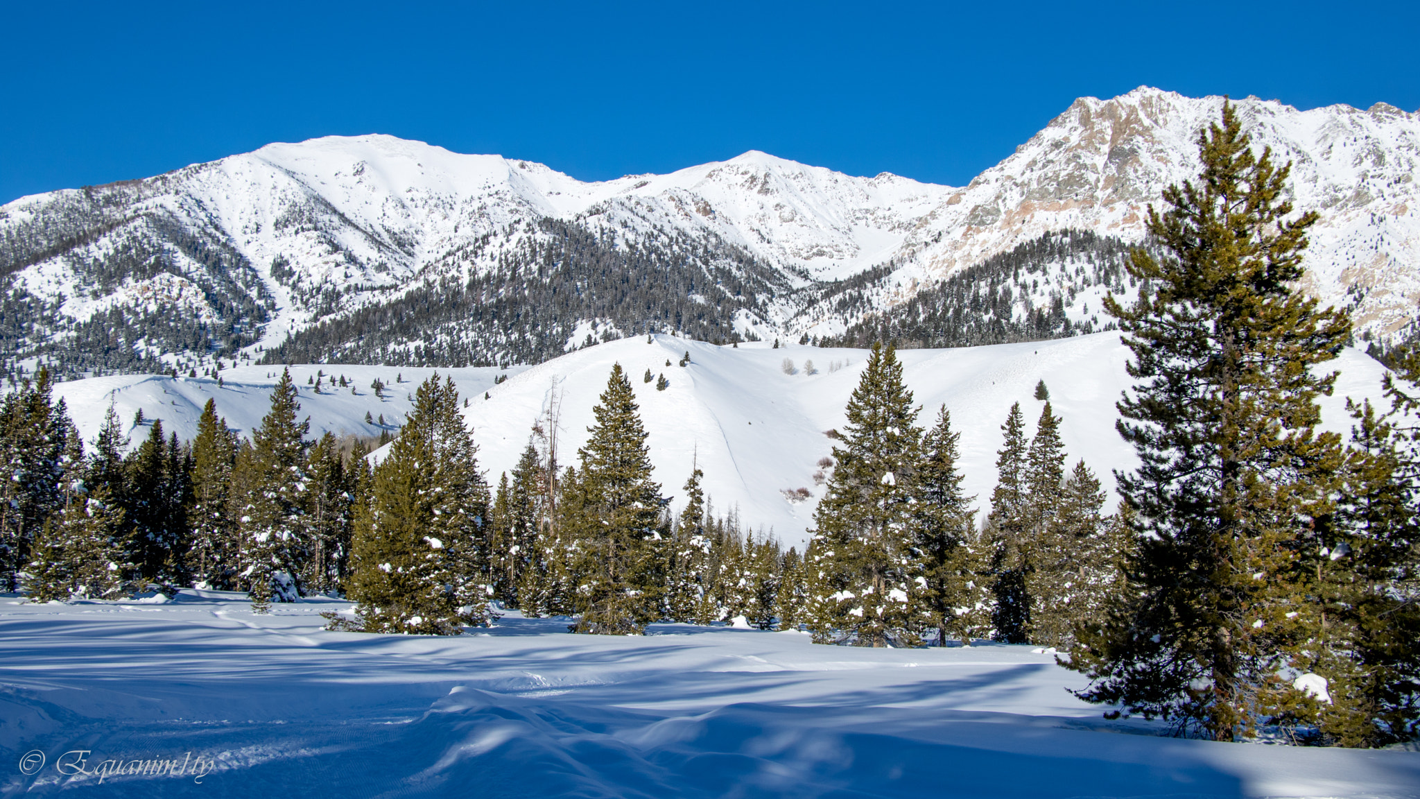 Canon EOS 750D (EOS Rebel T6i / EOS Kiss X8i) sample photo. Pine valley photography