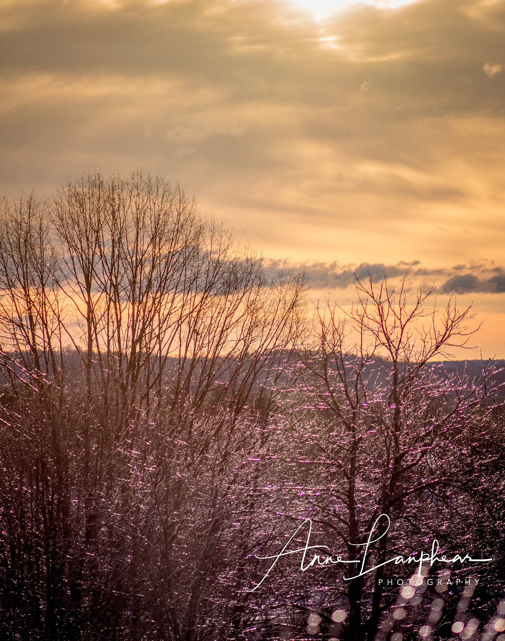 Canon EF 85mm F1.8 USM sample photo. Icy morning sunrise photography