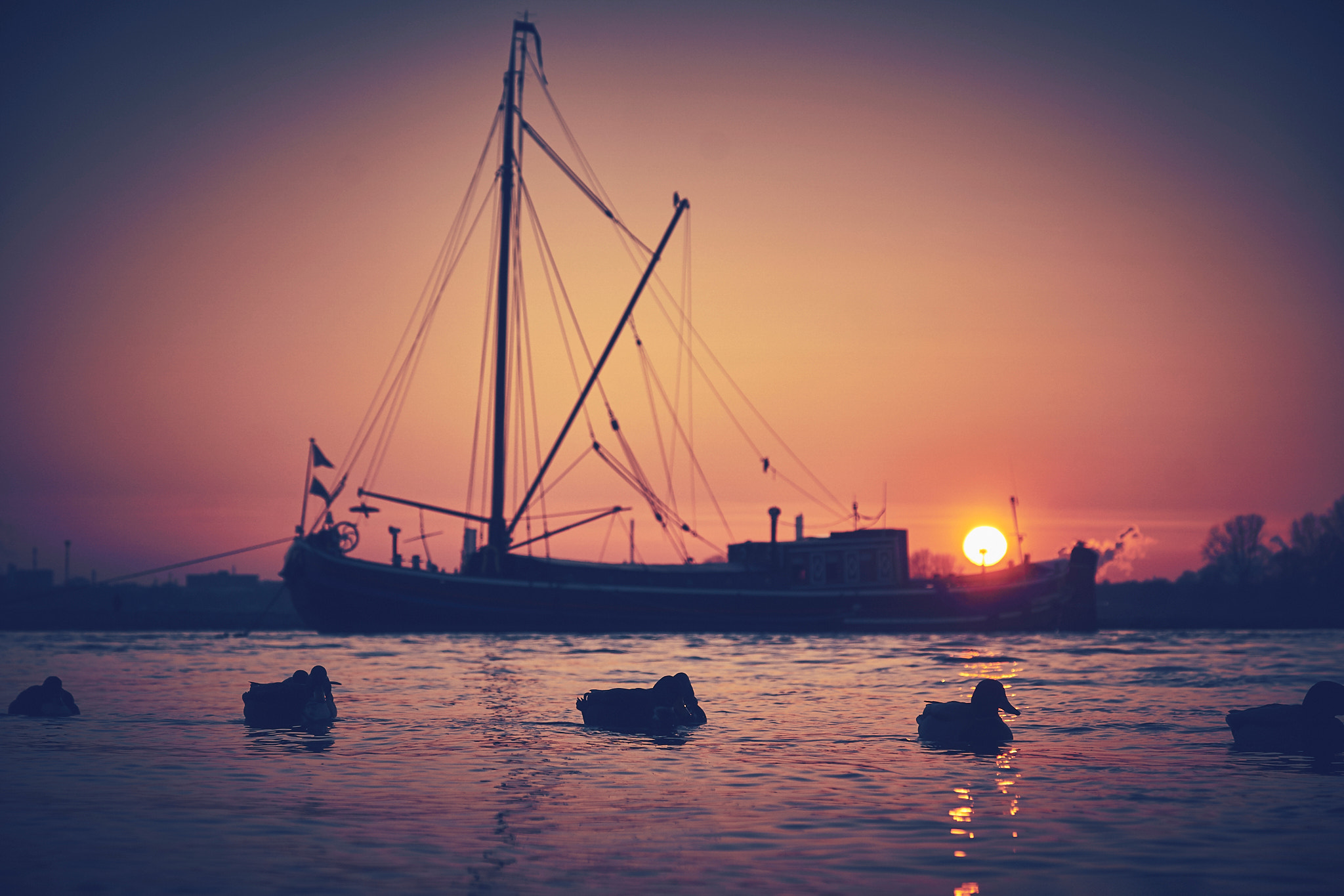 Sony ILCA-77M2 sample photo. Ducks´n sundown photography