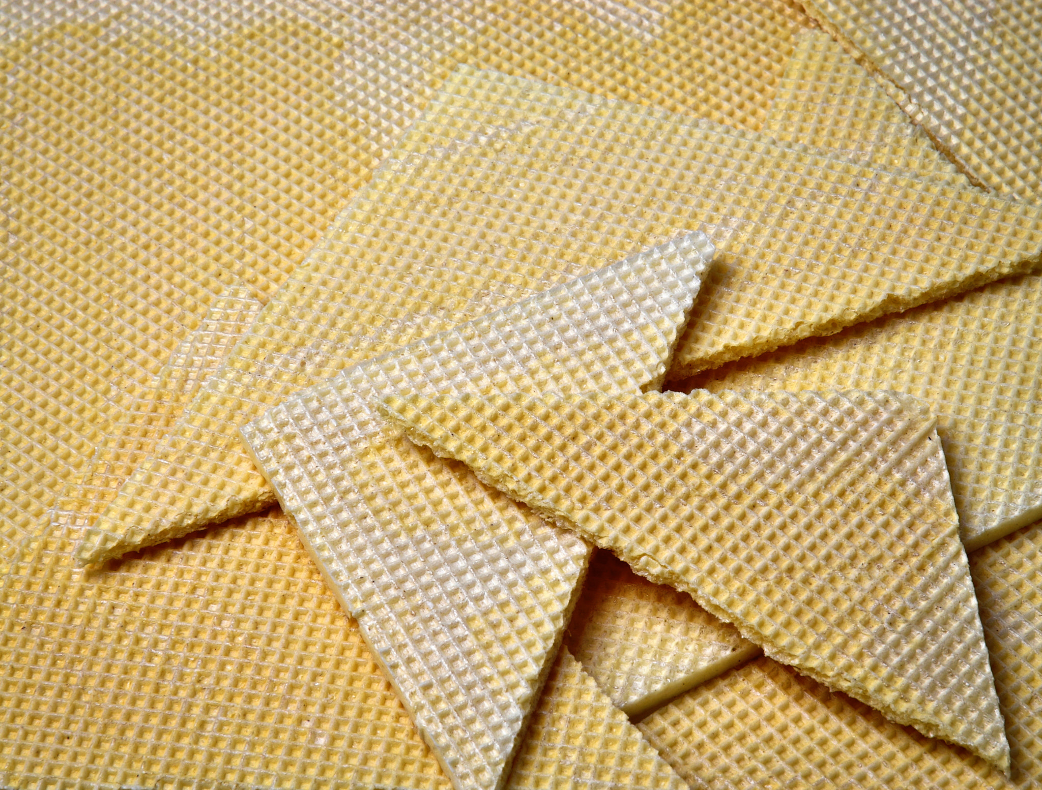 Nikon D5500 sample photo. Sealing wafers for cuts photography