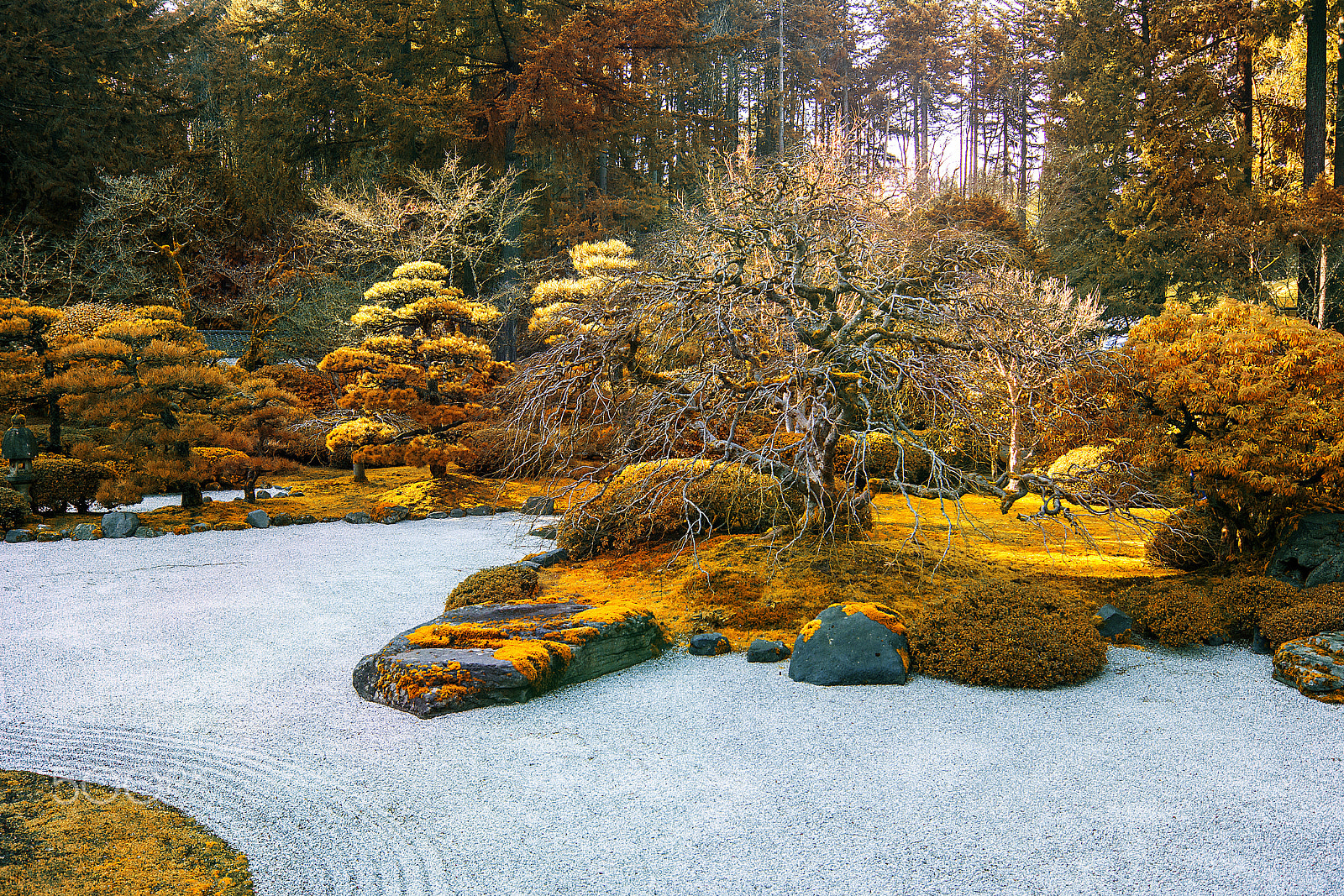Sony SLT-A77 + Sony DT 18-55mm F3.5-5.6 SAM sample photo. Flatgardeng photography