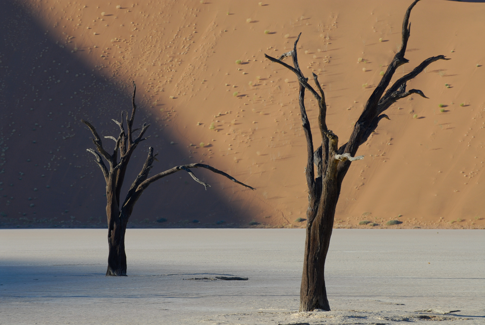 Nikon D200 sample photo. Sossusvlei photography