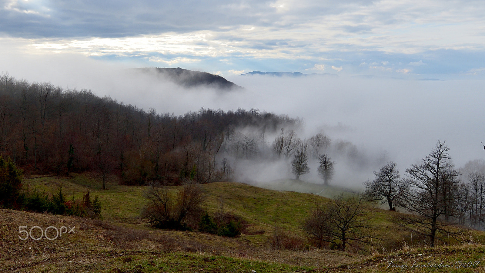 Nikon D500 sample photo. Immersione nella nebbia photography