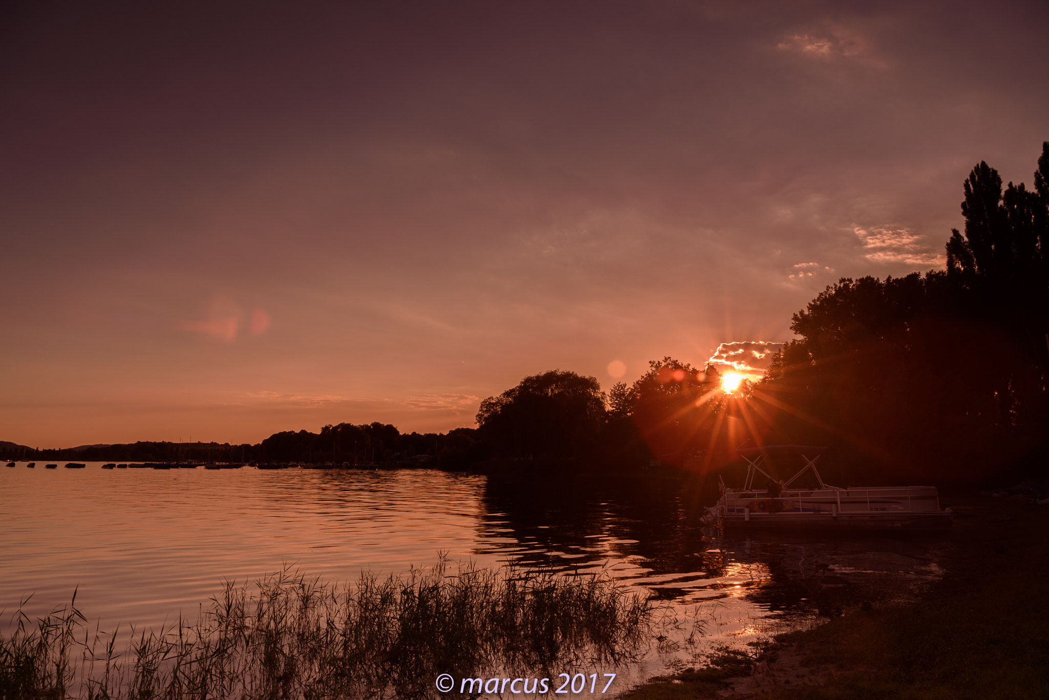 Nikon D750 + Nikon AF-S Nikkor 28-70mm F2.8 ED-IF sample photo. Dsc 6 photography