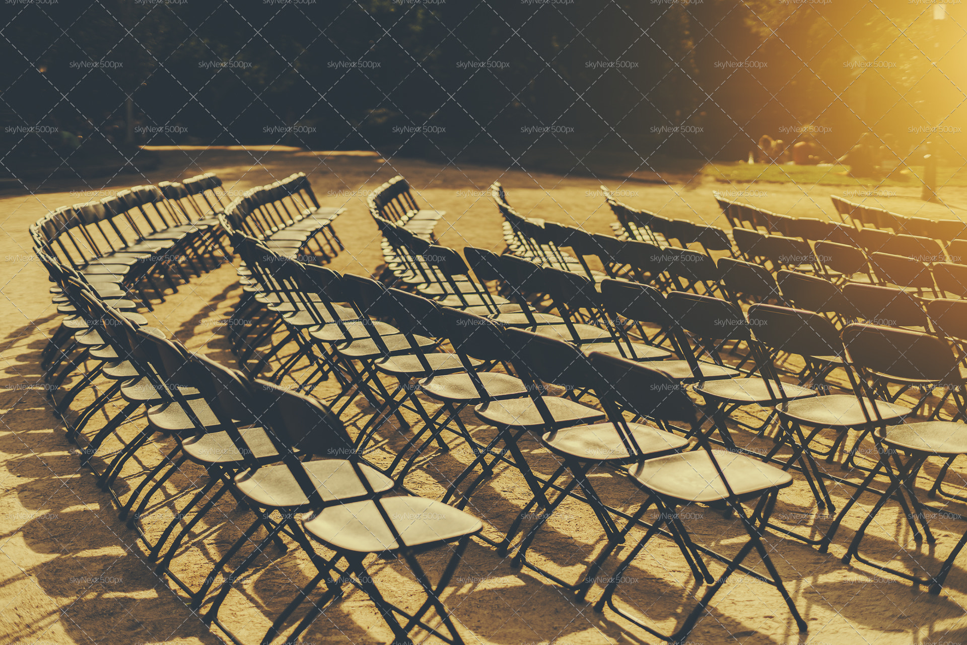 Raws of folding chairs in park