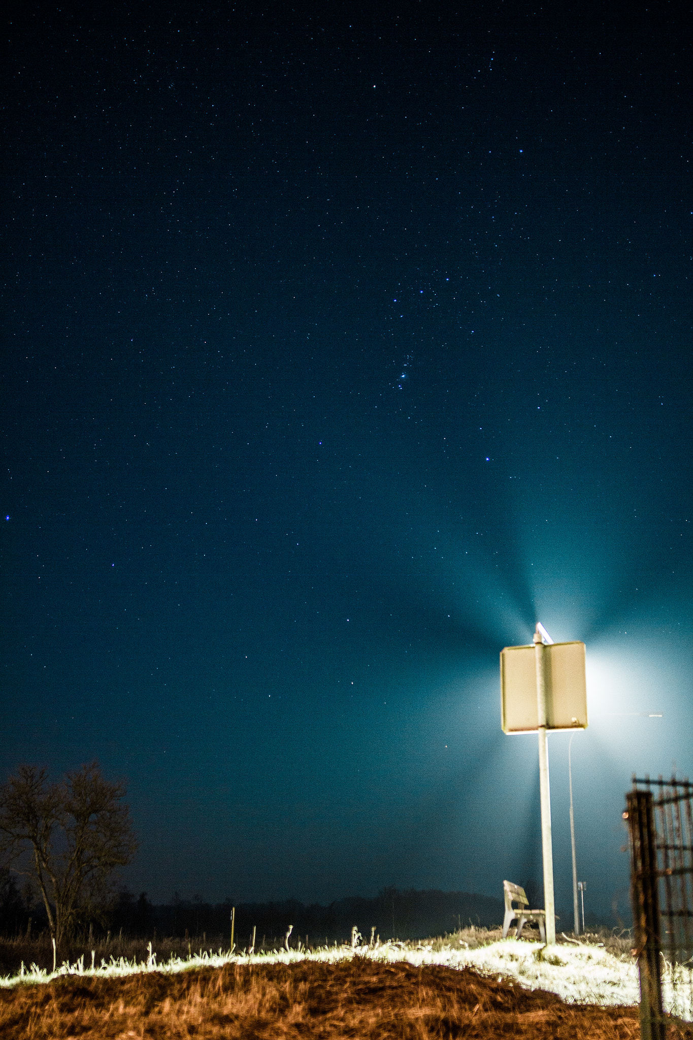 Sigma 24mm F1.4 DG HSM Art sample photo. Shining stars photography