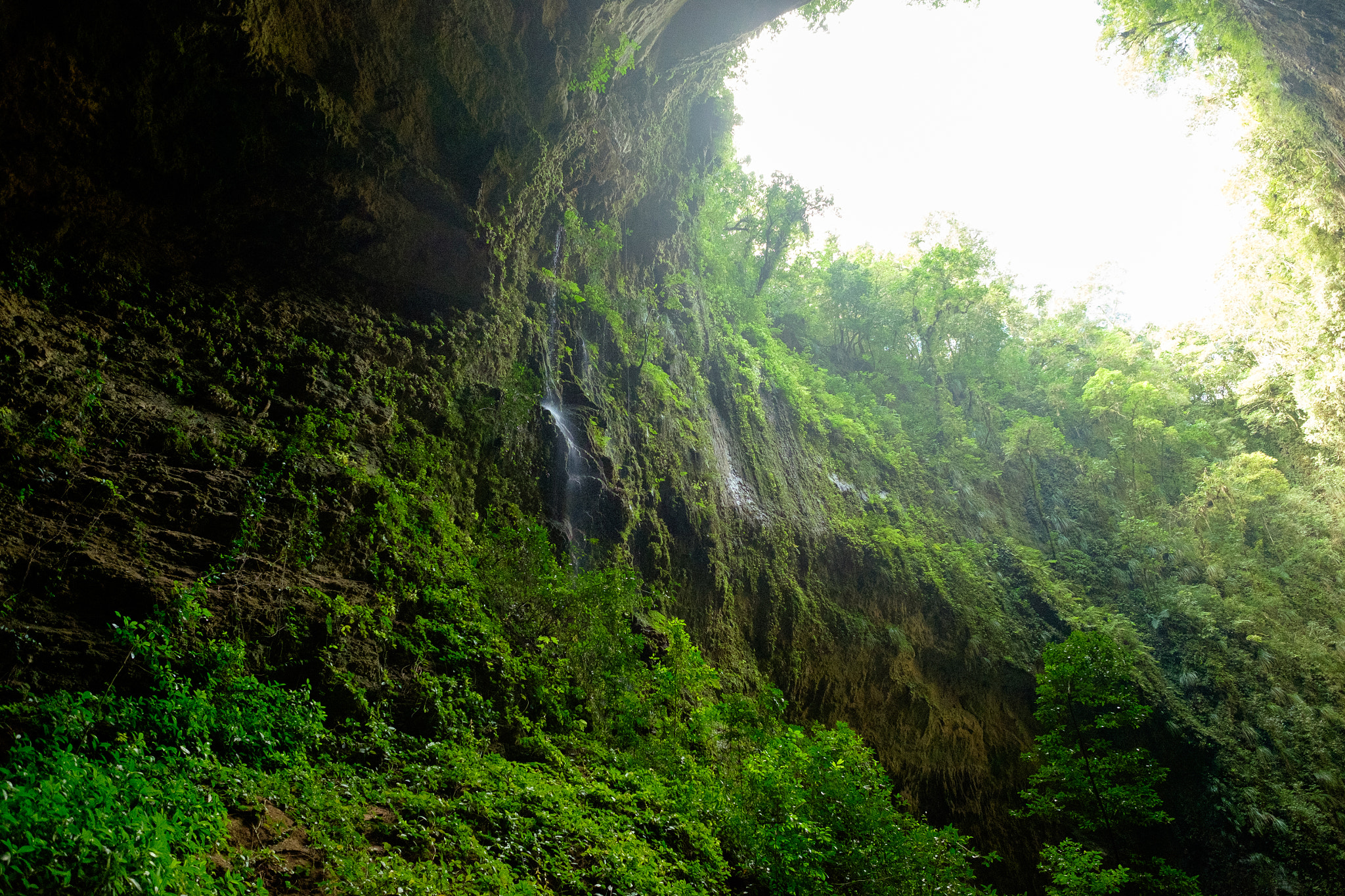 Fujifilm XF 14mm F2.8 R sample photo. Skylight photography
