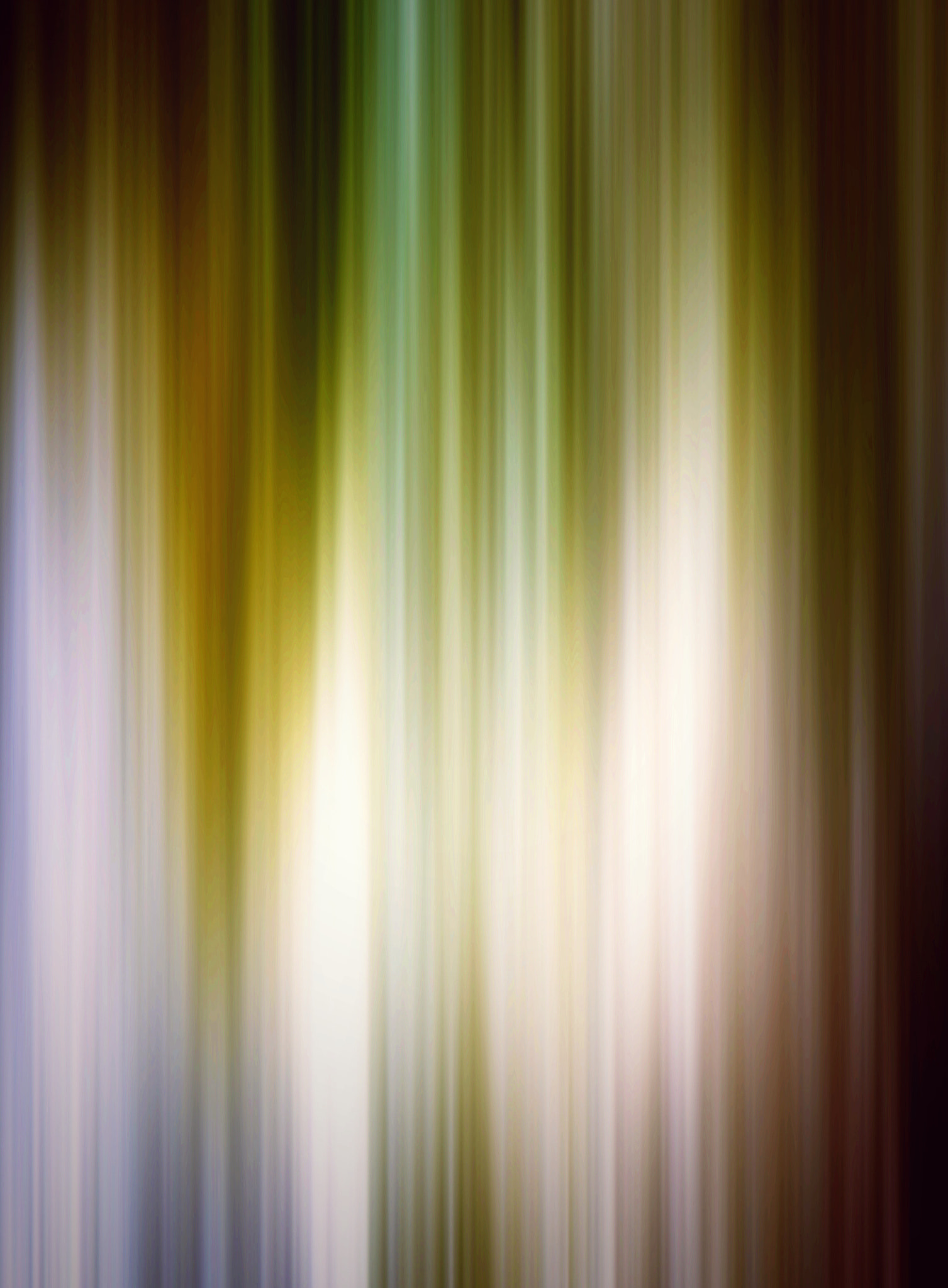 Nikon D5500 sample photo. Abstract vertical blurred background nature photography