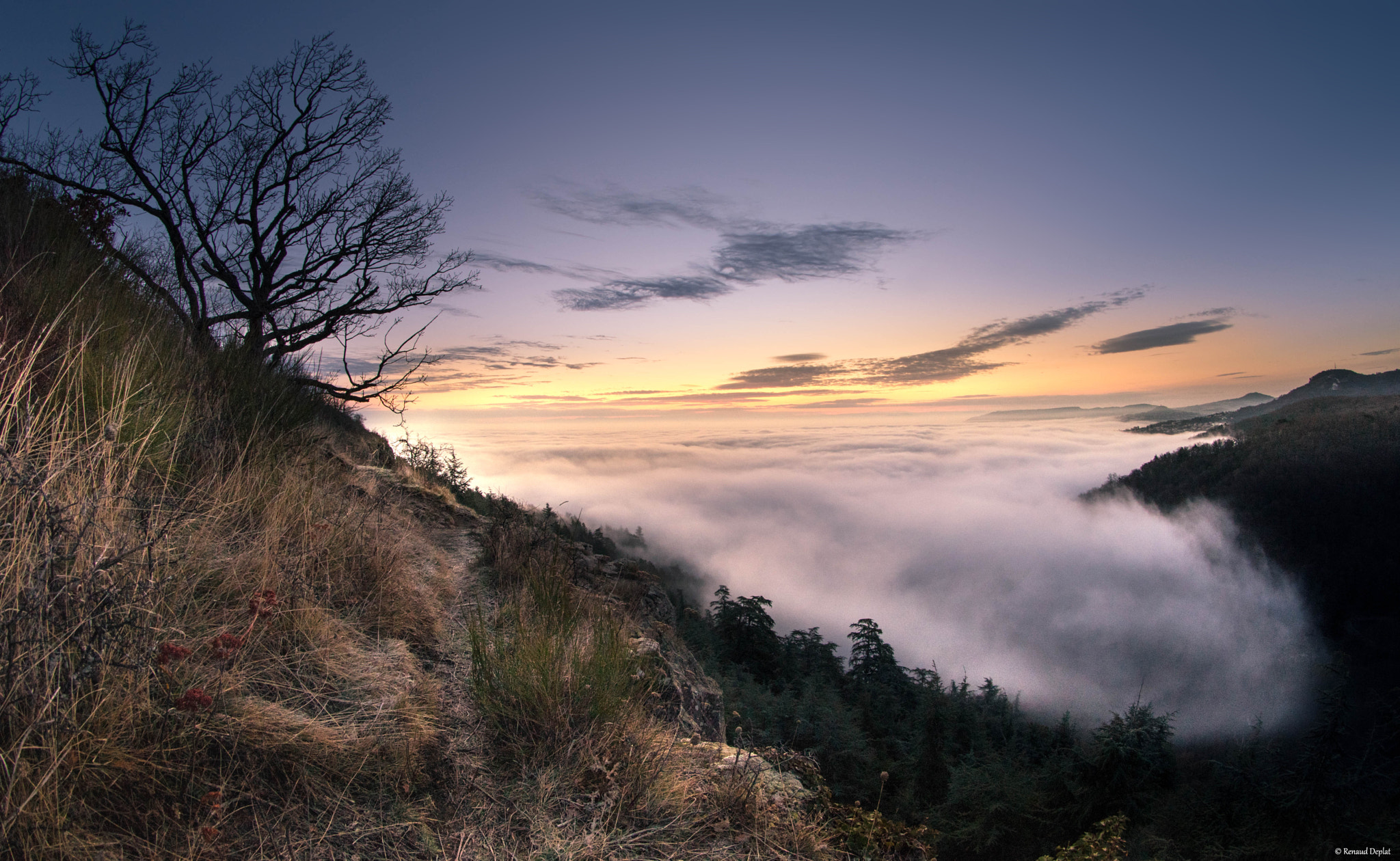 Nikon D500 + Samyang 8mm F3.5 Aspherical IF MC Fisheye sample photo. Landscape. photography