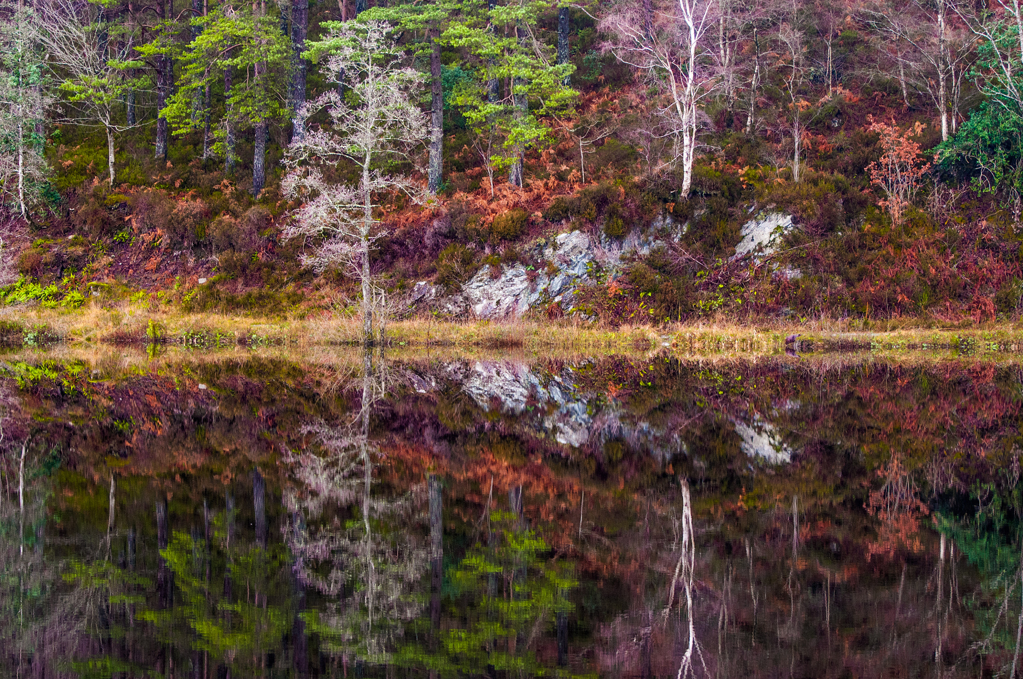 Nikon D300 sample photo. Loch katrine photography