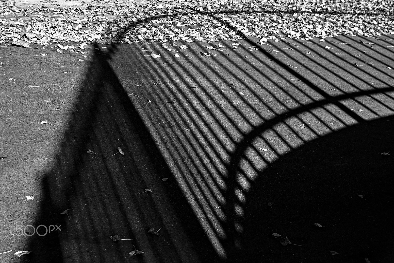 Canon EOS 500D (EOS Rebel T1i / EOS Kiss X3) sample photo. The railing. photography
