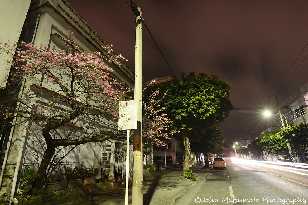 Tokina AT-X Pro 12-24mm F4 (IF) DX sample photo. Cherry trees at evening photography