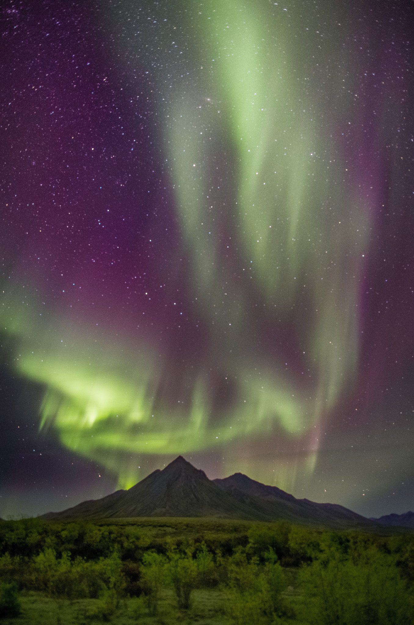 Canon EF 24mm F1.4L II USM sample photo. Dempster northern lights photography