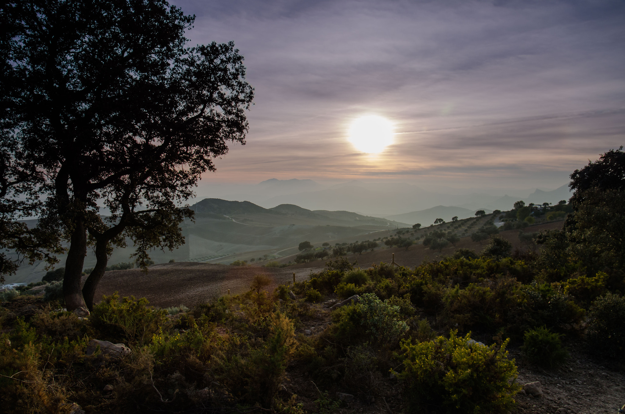 Pentax K-5 + Pentax smc DA 17-70mm F4.0 AL (IF) SDM sample photo. Sunset near la joya photography