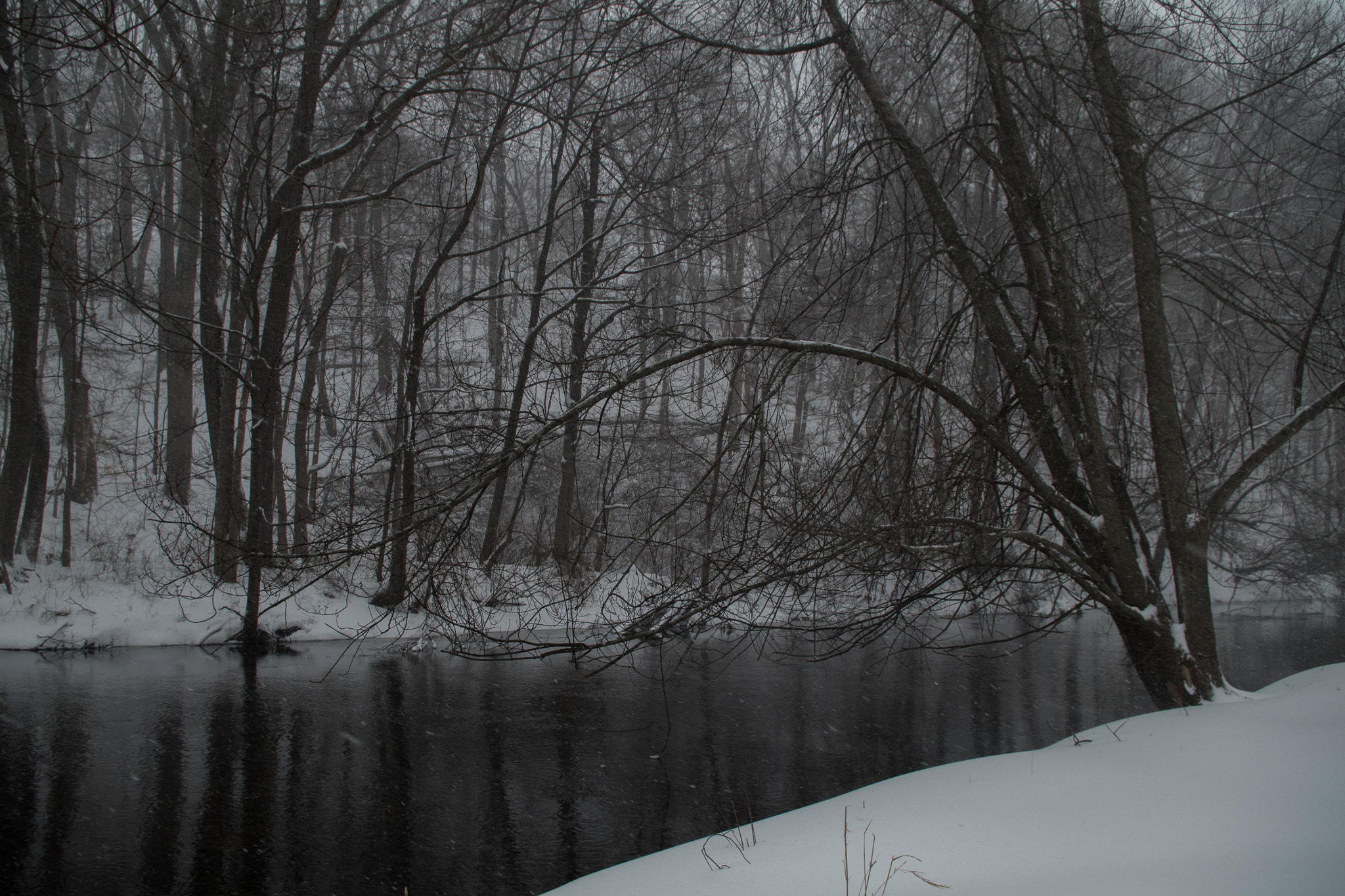 Pentax K-S2 sample photo. Carol getchell trail in winter photography
