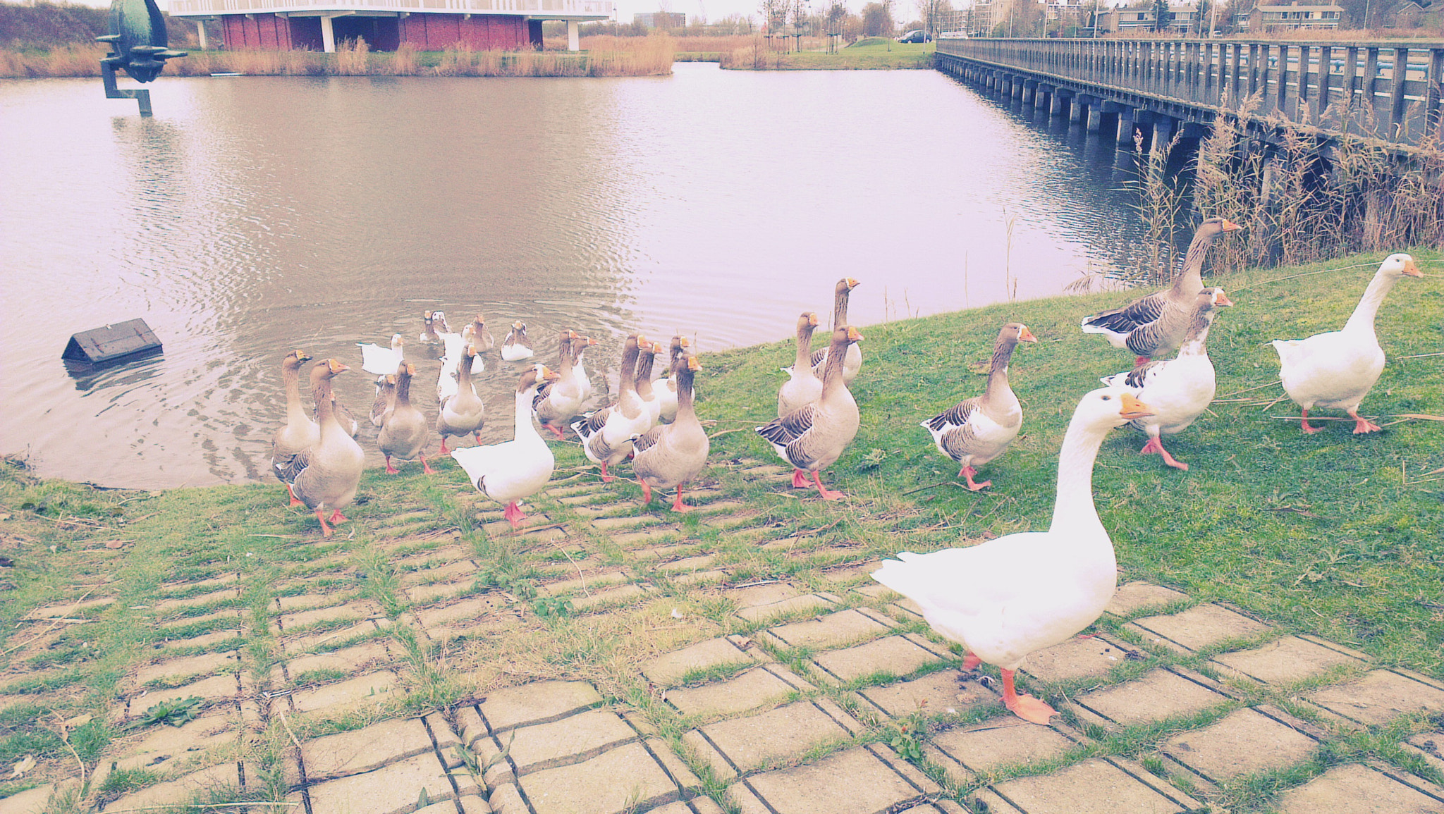HTC ONE X sample photo