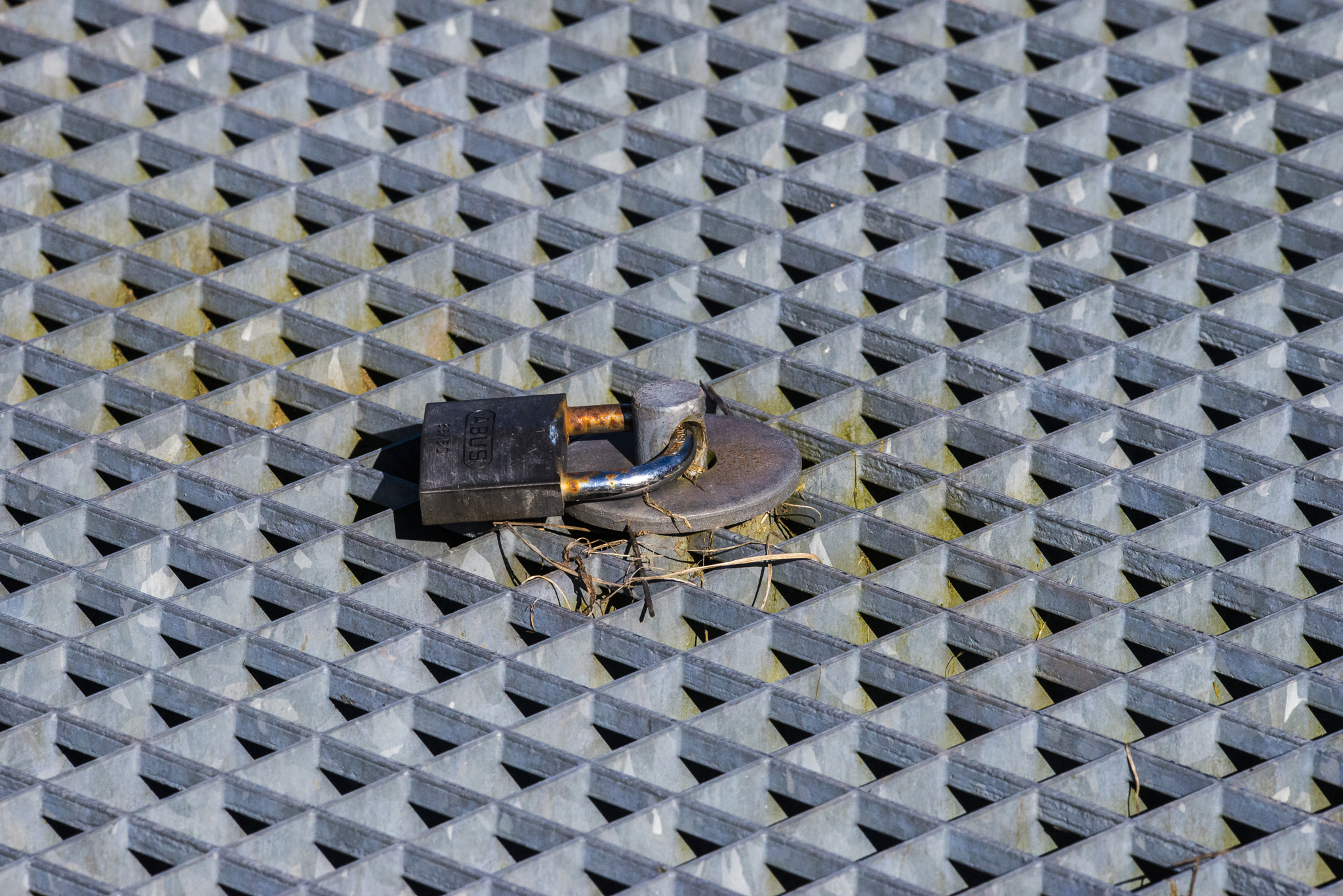 Sigma 150-600mm F5-6.3 DG OS HSM | C sample photo. More rusty details - 3 photography