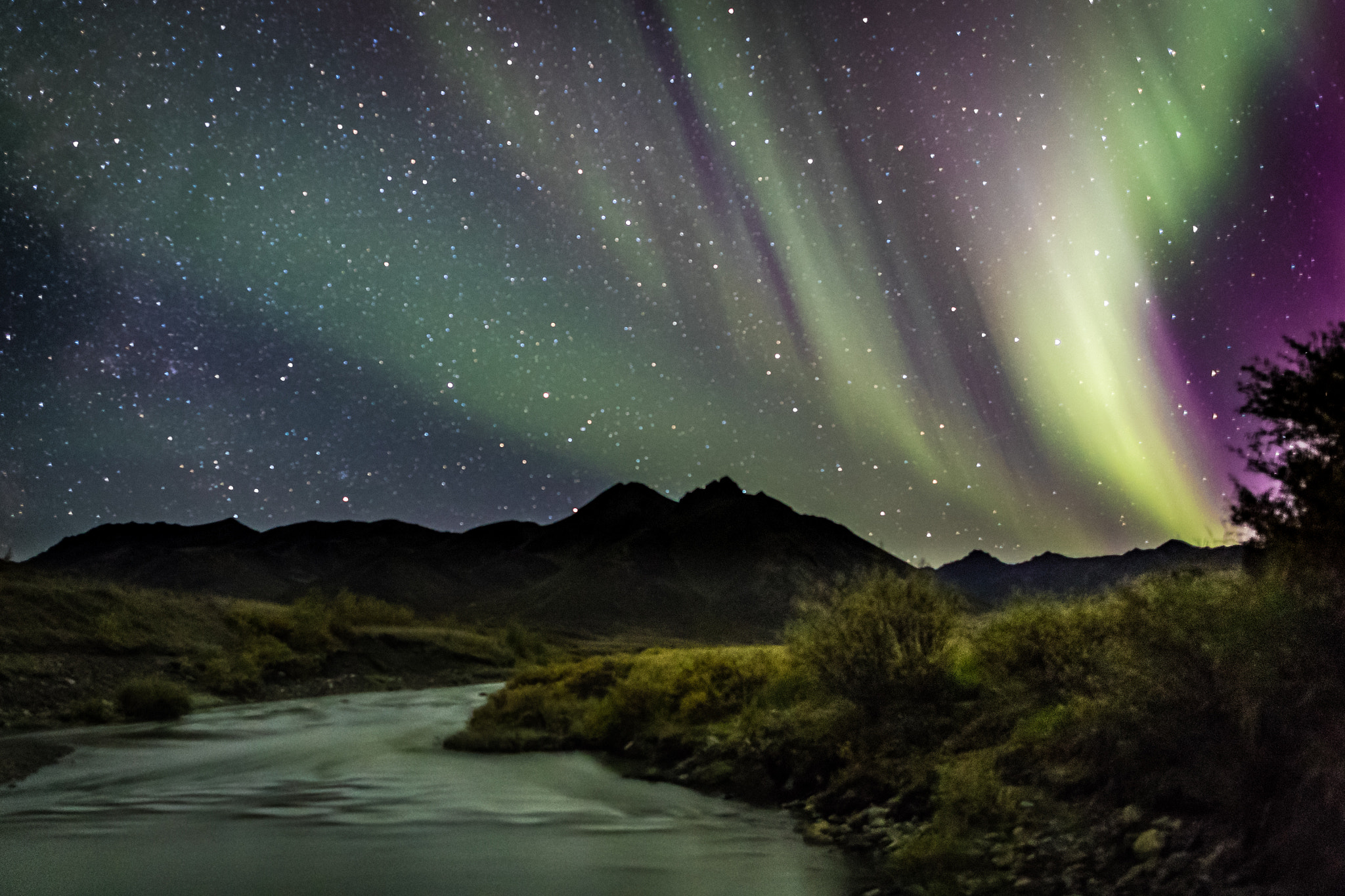 Canon EF 24mm F1.4L II USM sample photo. Dempster northern lights photography