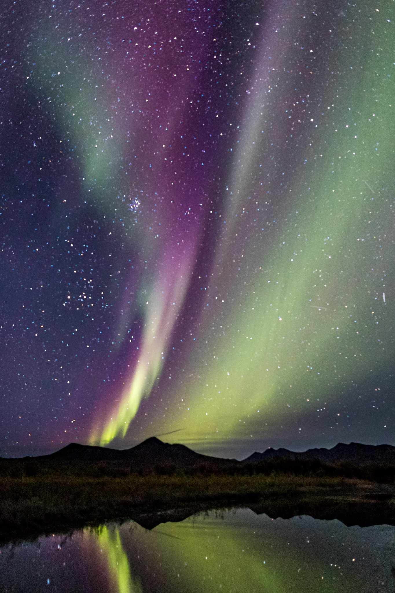Canon EF 24mm F1.4L II USM sample photo. Dempster northern lights photography