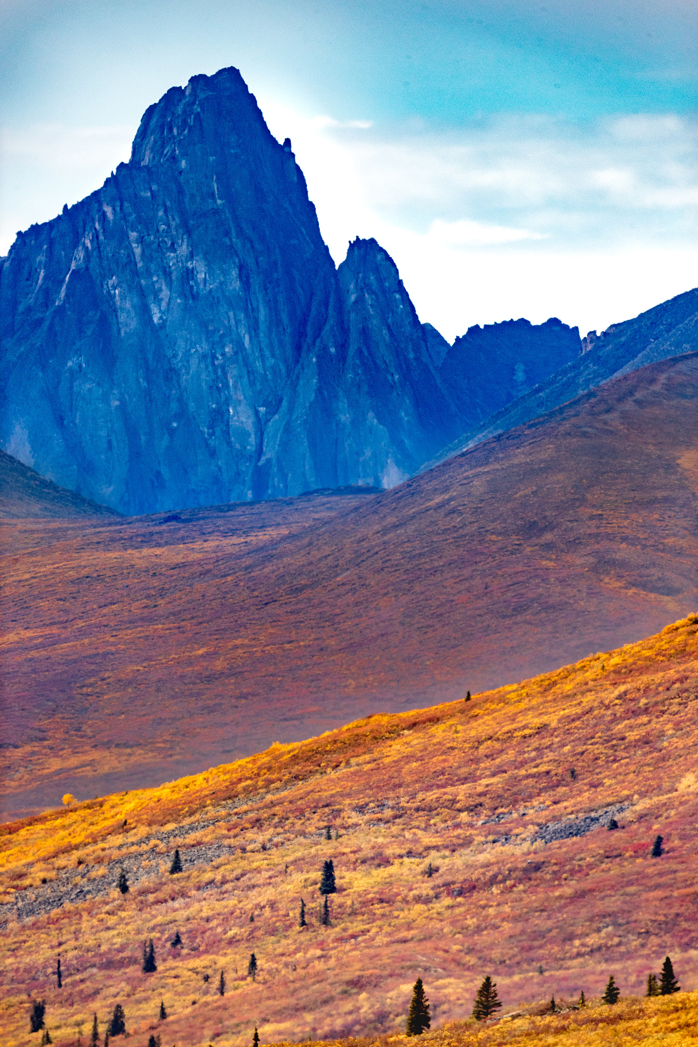 Canon EF 800mm F5.6L IS USM sample photo. Tombstone park photography