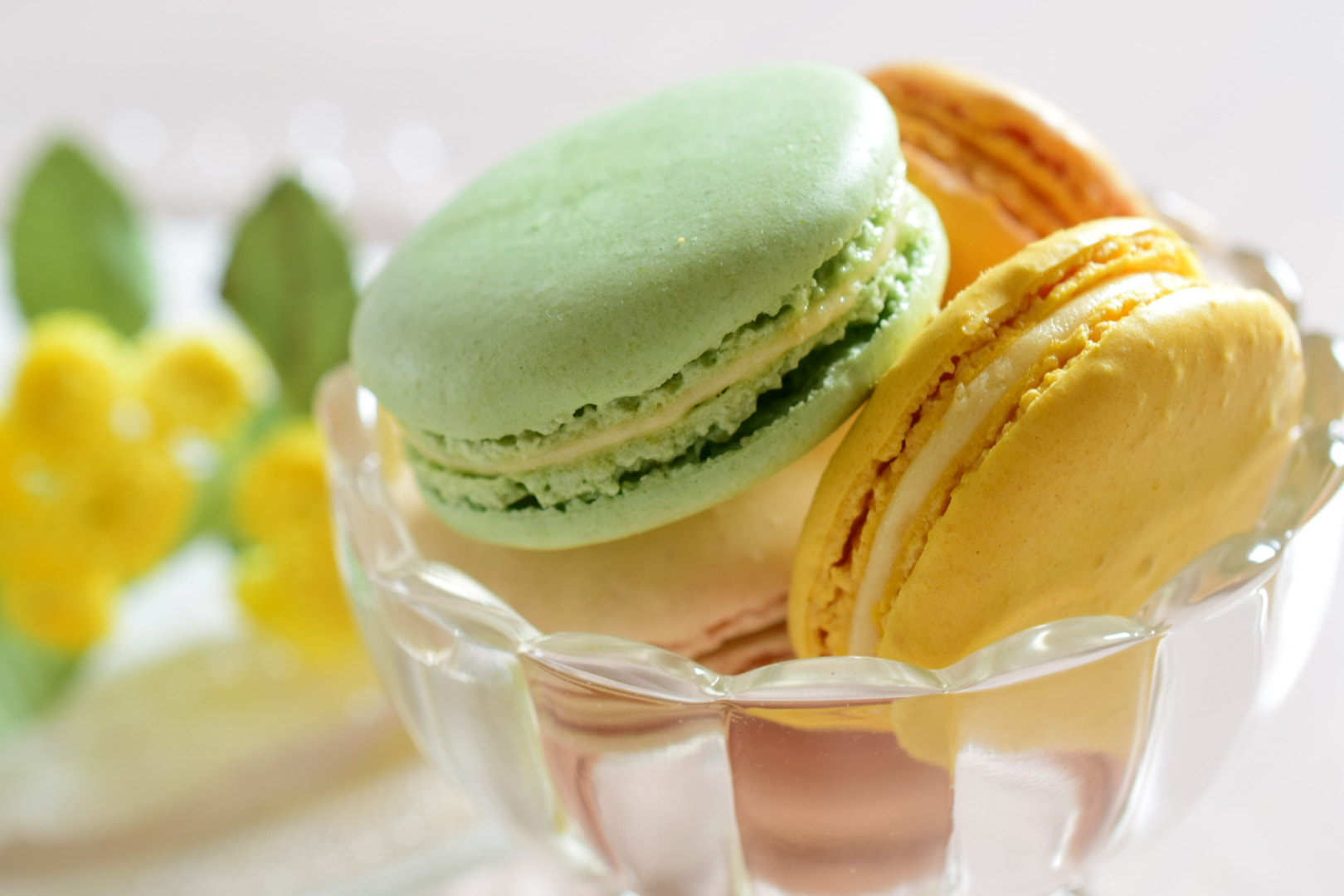 Nikon AF-S DX Micro Nikkor 40mm F2.8 sample photo. Sweets♥ photography