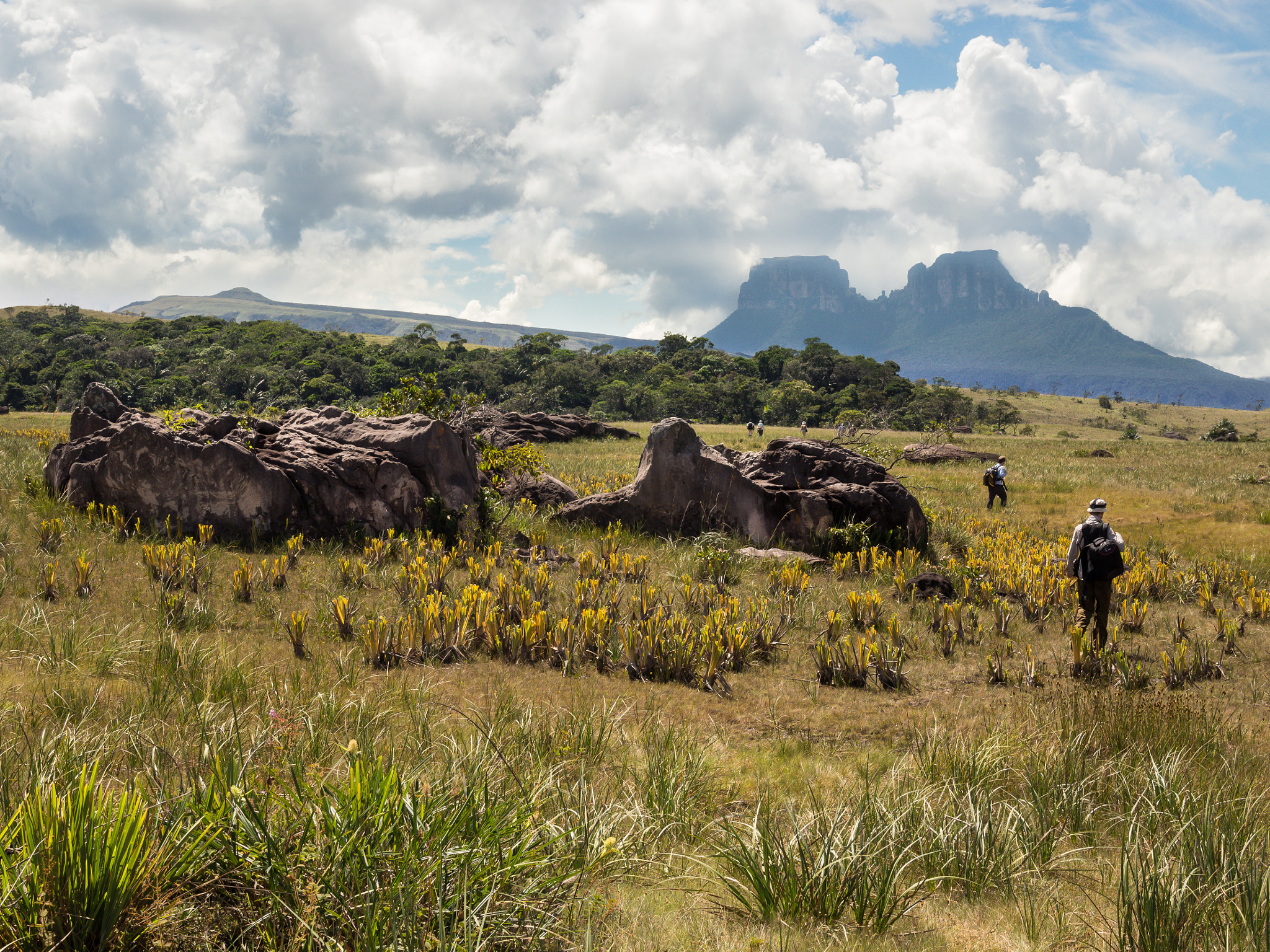 Olympus OM-D E-M1 + Panasonic Lumix G X Vario 12-35mm F2.8 ASPH Power OIS sample photo. Andakasima tepui photography