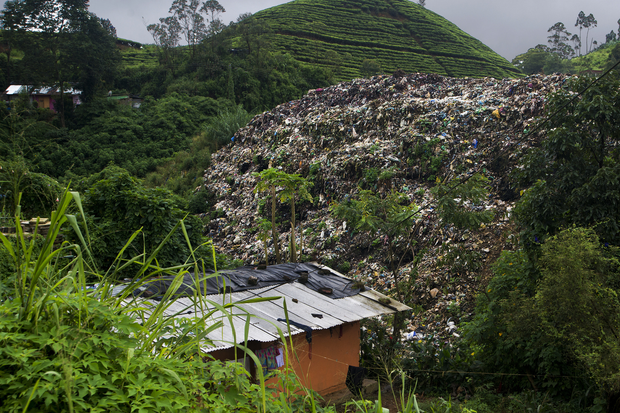 Nikon D800 sample photo. Monte composti, sri lanka photography