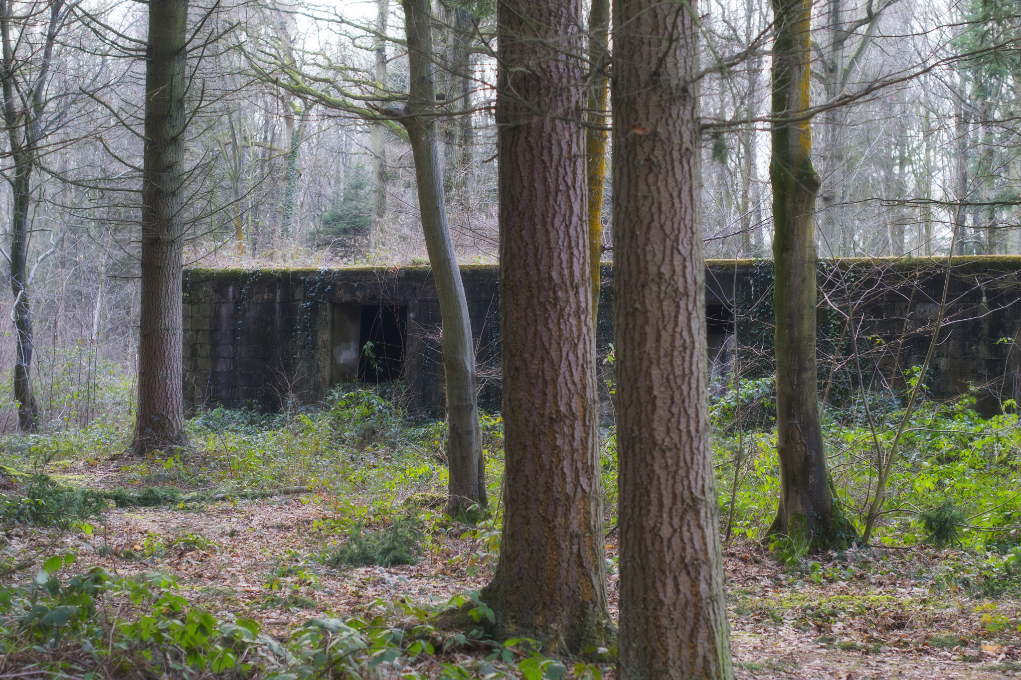 Nikon D3100 + Nikon AF-S Nikkor 50mm F1.4G sample photo. V2 bunker - north france photography