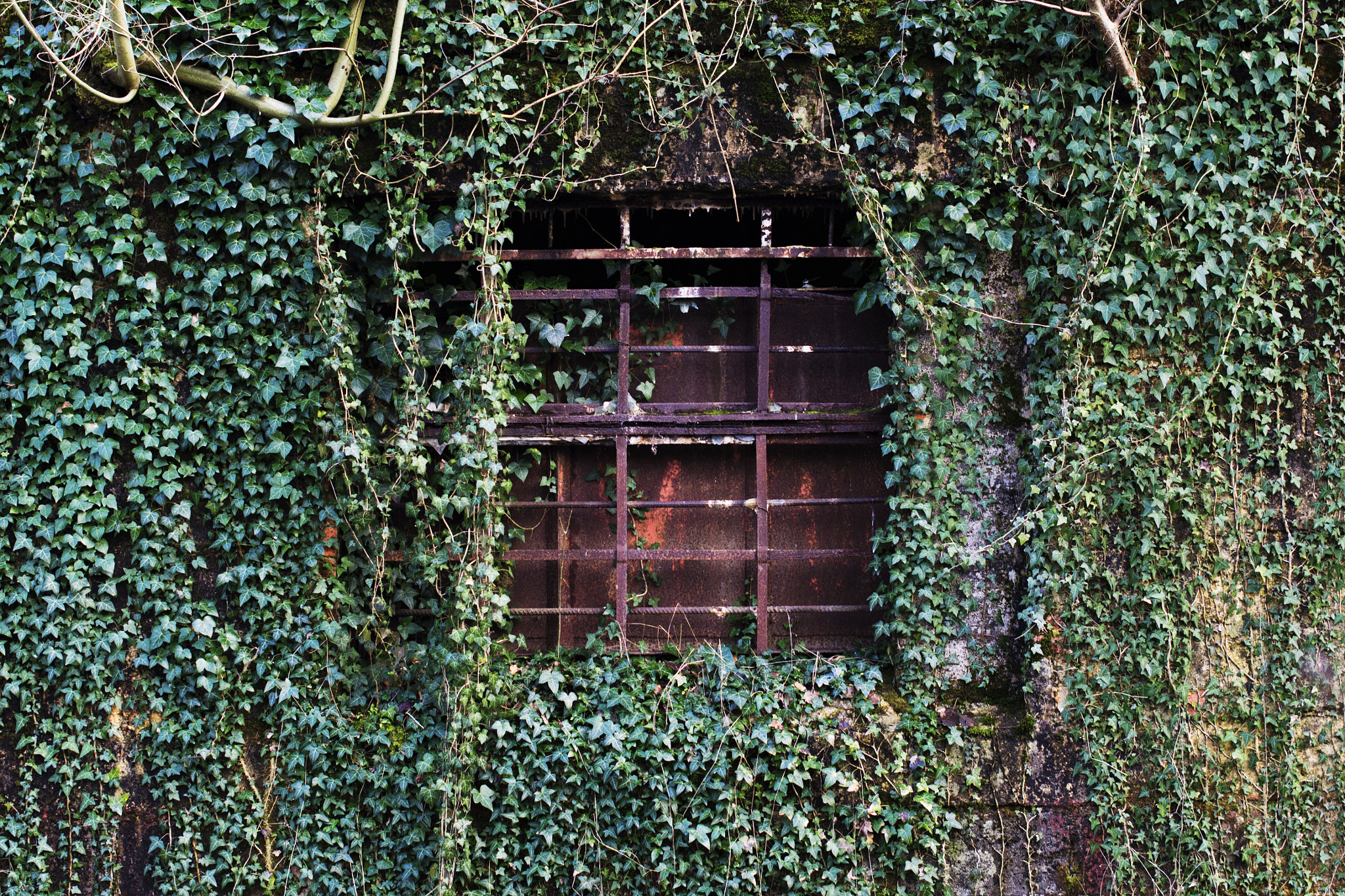 Nikon D3100 + Nikon AF-S Nikkor 50mm F1.4G sample photo. V2 bunker window - north france photography