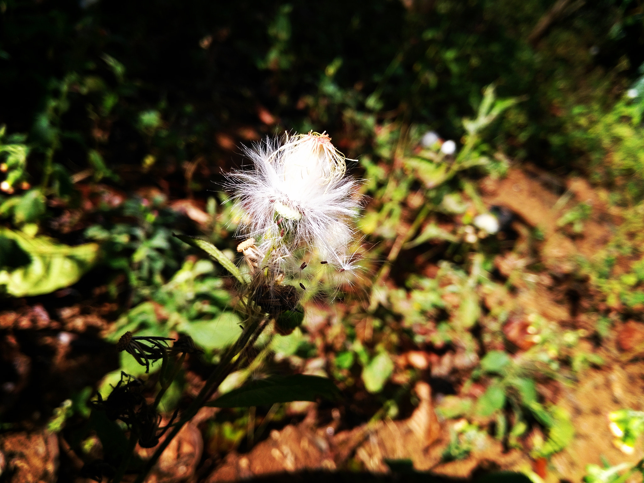 HUAWEI GR5 sample photo