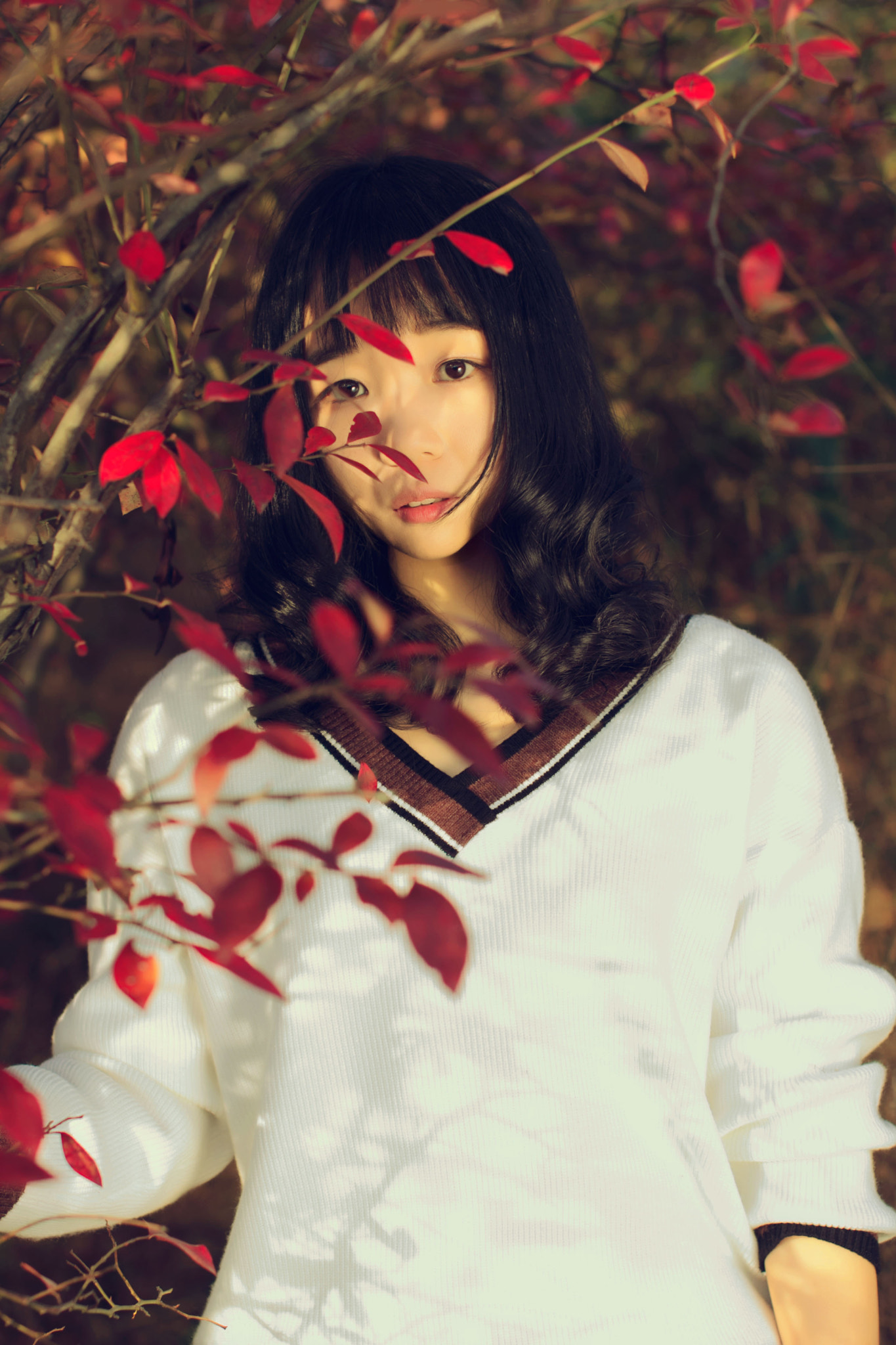Sigma 50mm F1.4 EX DG HSM sample photo. Lili photography