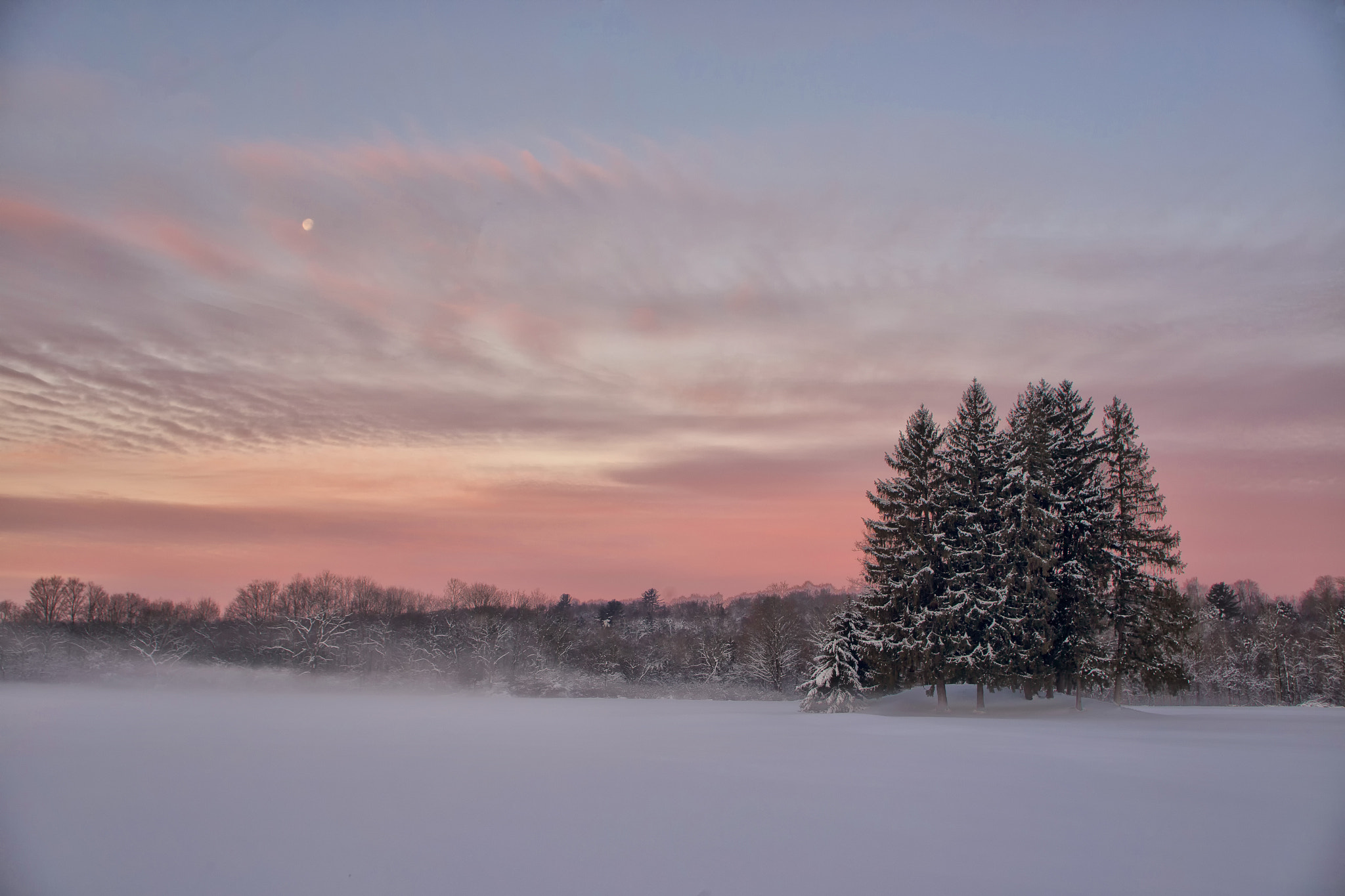 Canon EF 20-35mm F3.5-4.5 USM sample photo. Trees in the snow photography