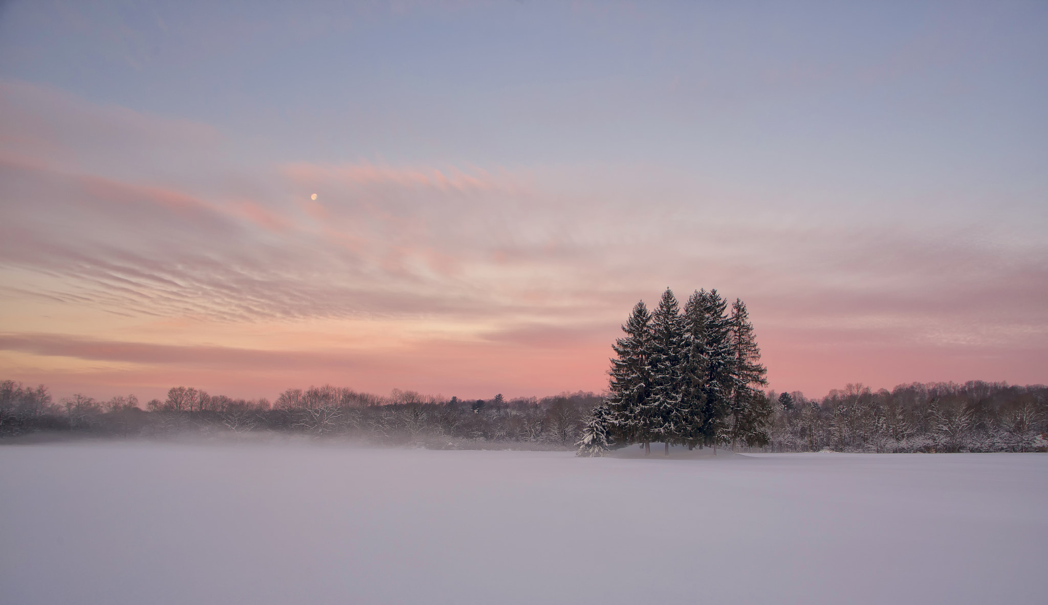 Canon EOS 6D sample photo. Field of snow photography