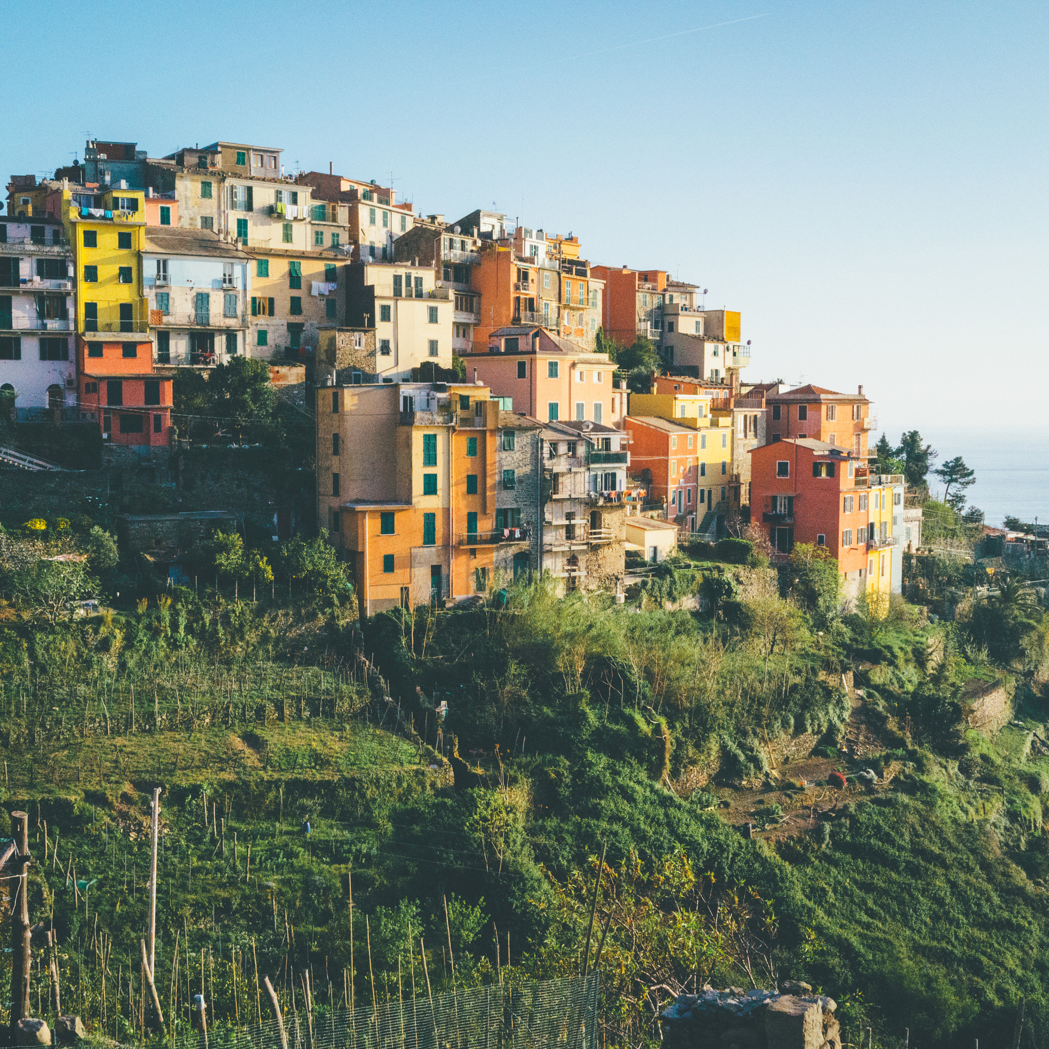 Sony Cyber-shot DSC-RX1R sample photo. Cinque terre photography