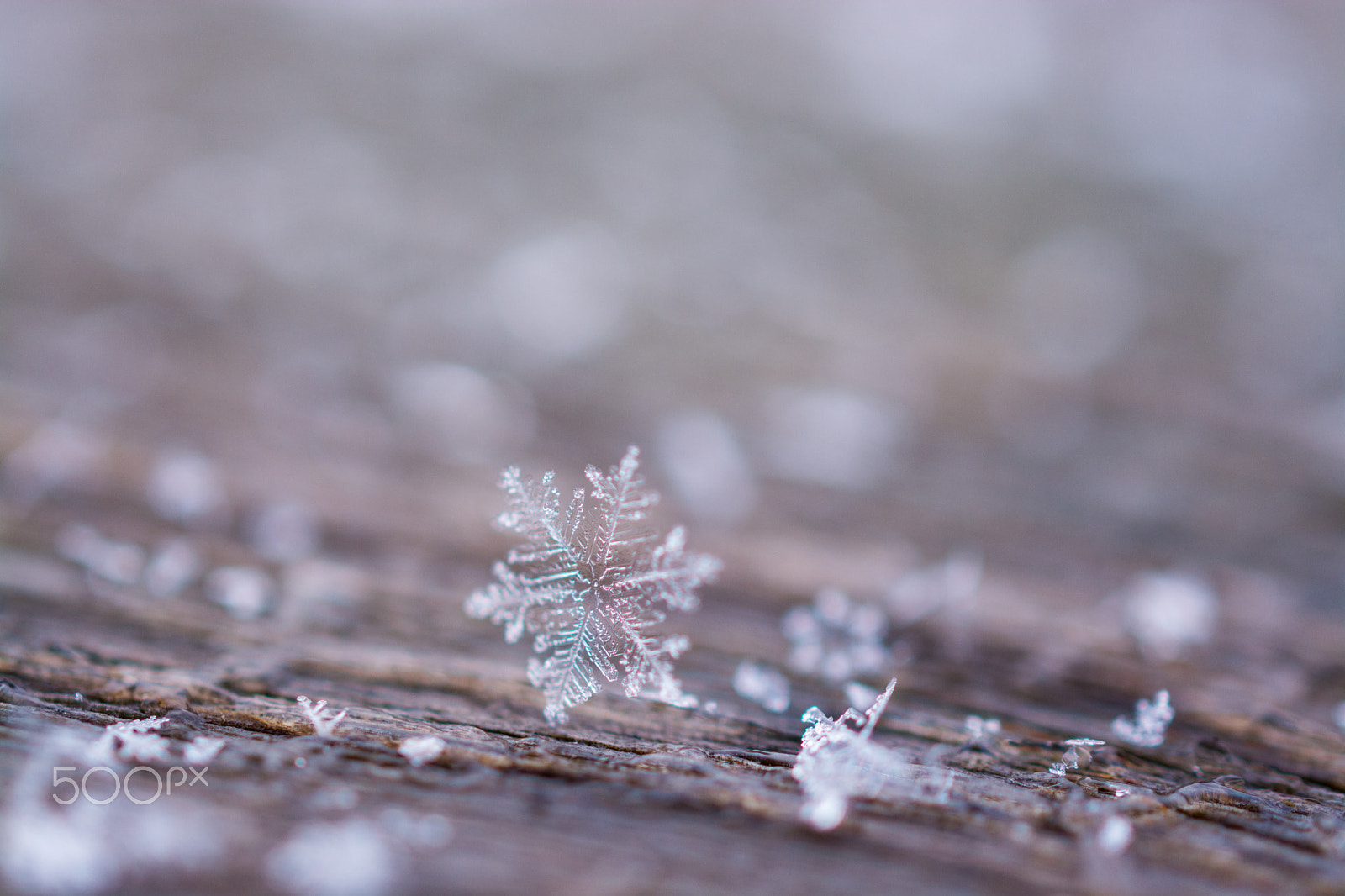 Nikon AF-S DX Micro Nikkor 40mm F2.8 sample photo. Snowflake photography