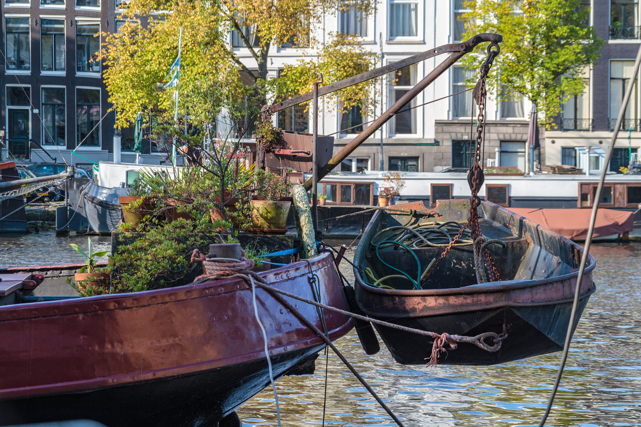 Canon EOS 7D + Sigma 18-200mm f/3.5-6.3 DC OS sample photo. Amsterdam: floating garden photography